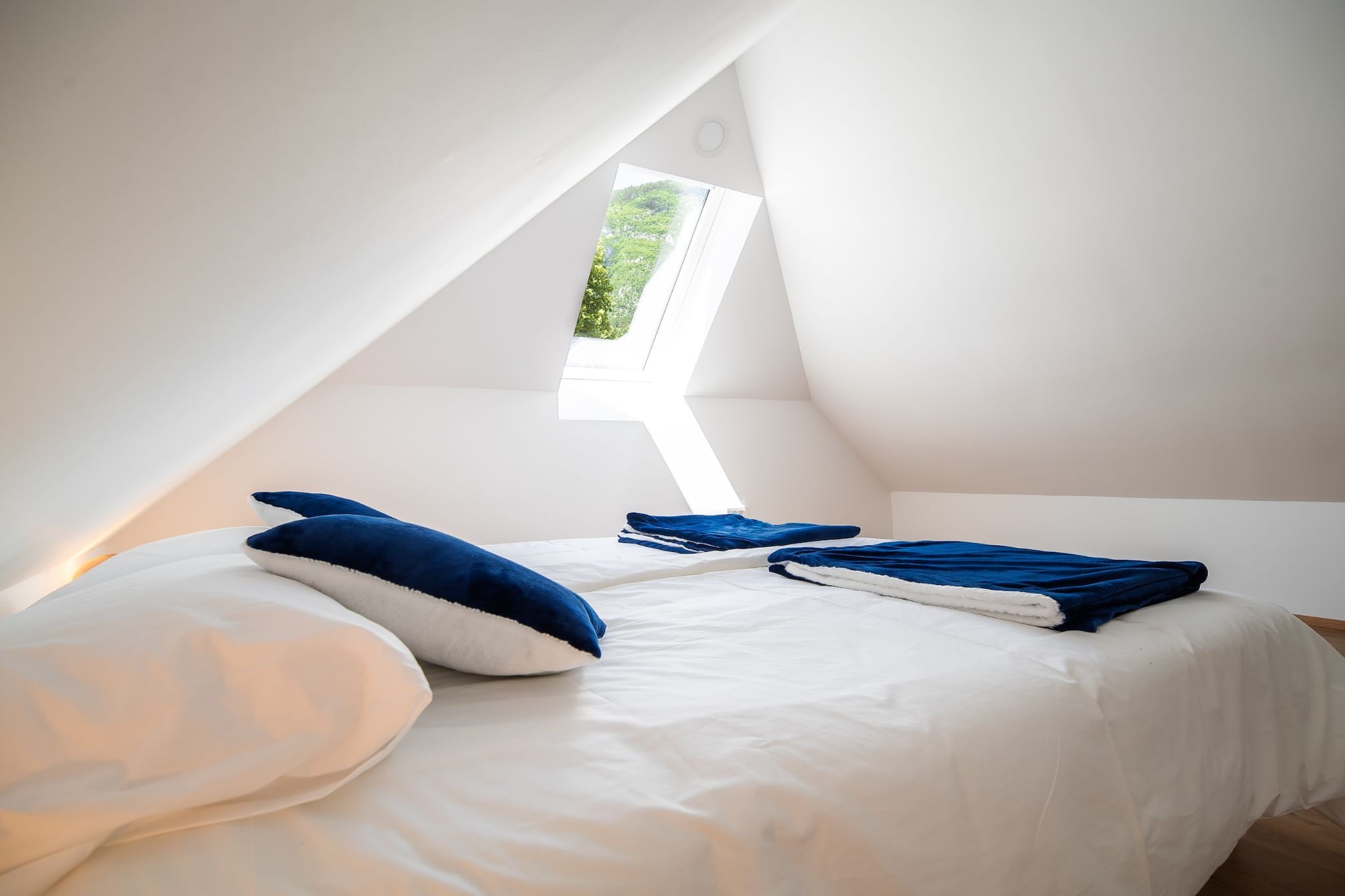 Mountain View Haven Apartments - One Bedroom Apartment-Chambre