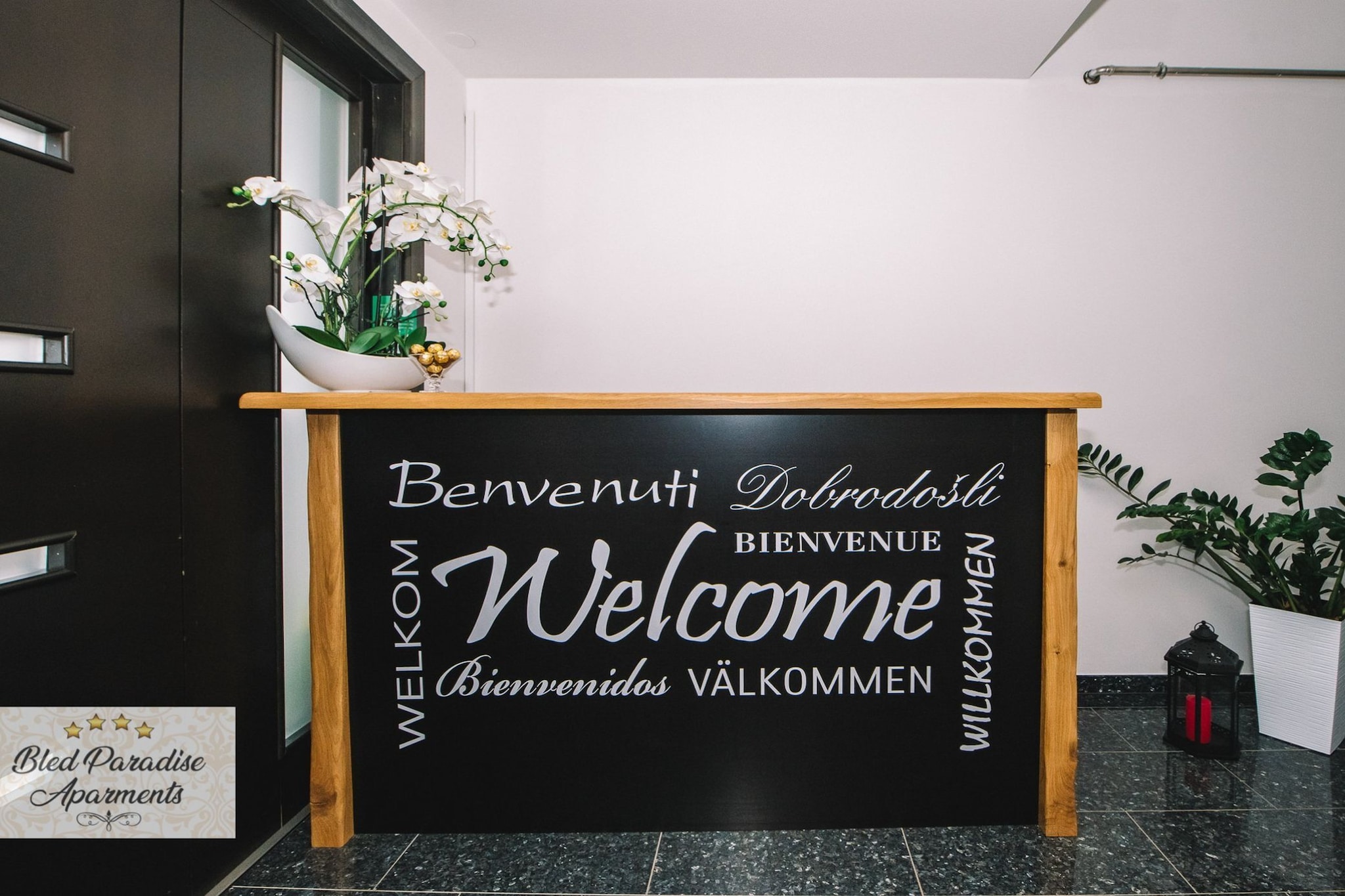 Bled Prestigious and Stylish Apartments - Standard Studio Apartment with Terrace (owner 2)