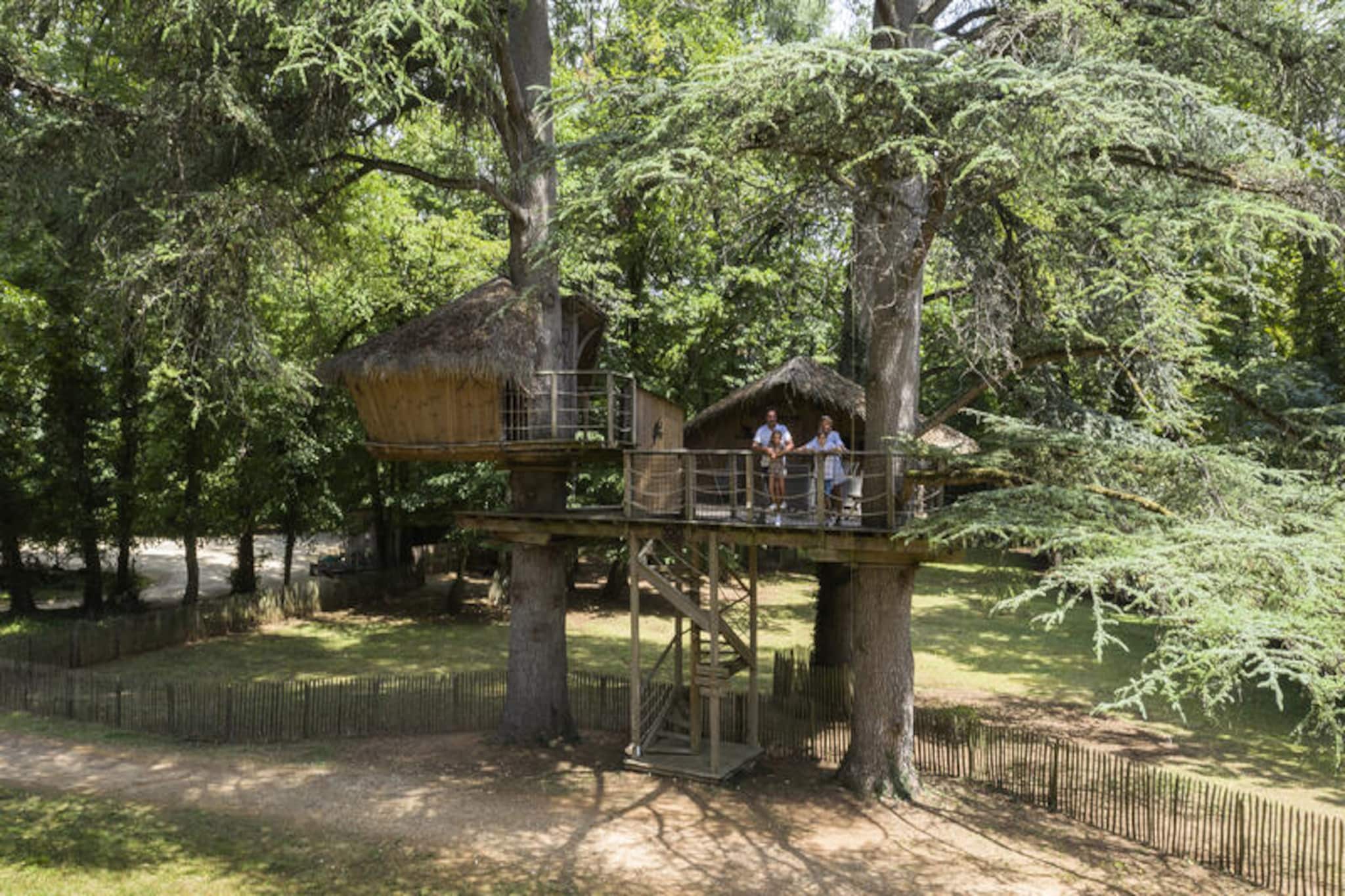 Amazon cabin 2 people