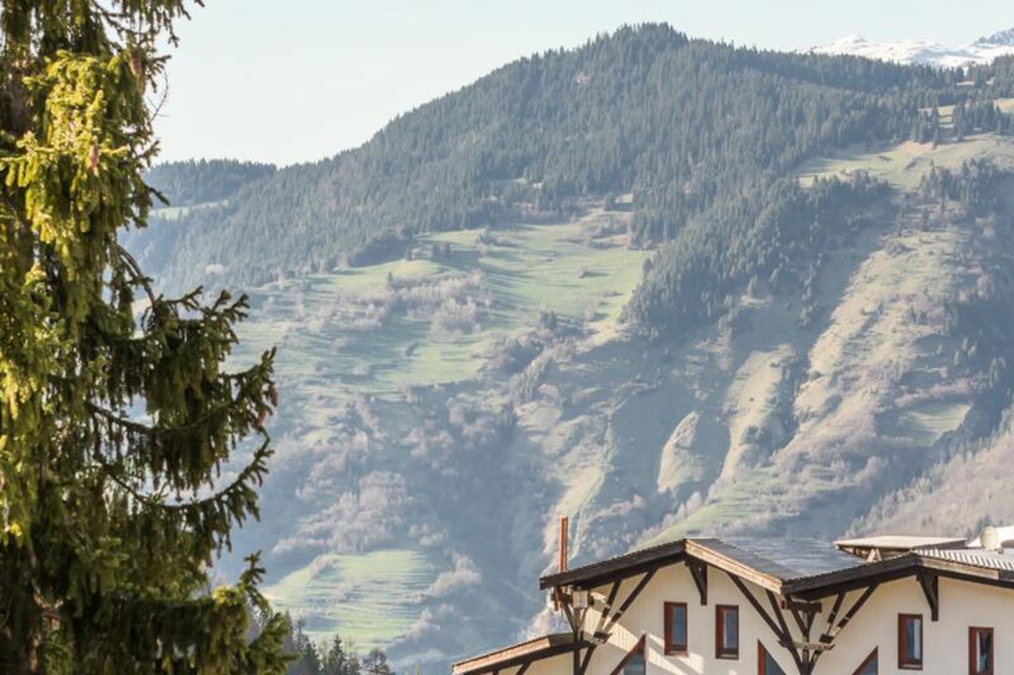 Apartment in La Tania near Vanoise Park