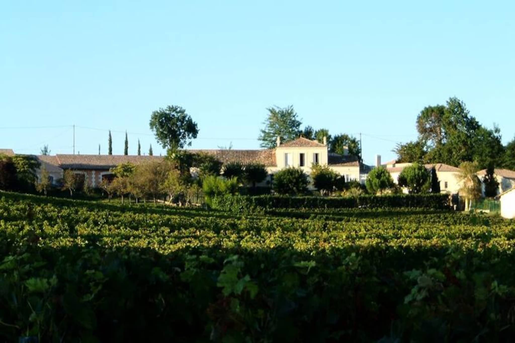 Château La Tuilière: Villa Avec Piscine Au Milieu De Son Vignoble-Image-tags.
