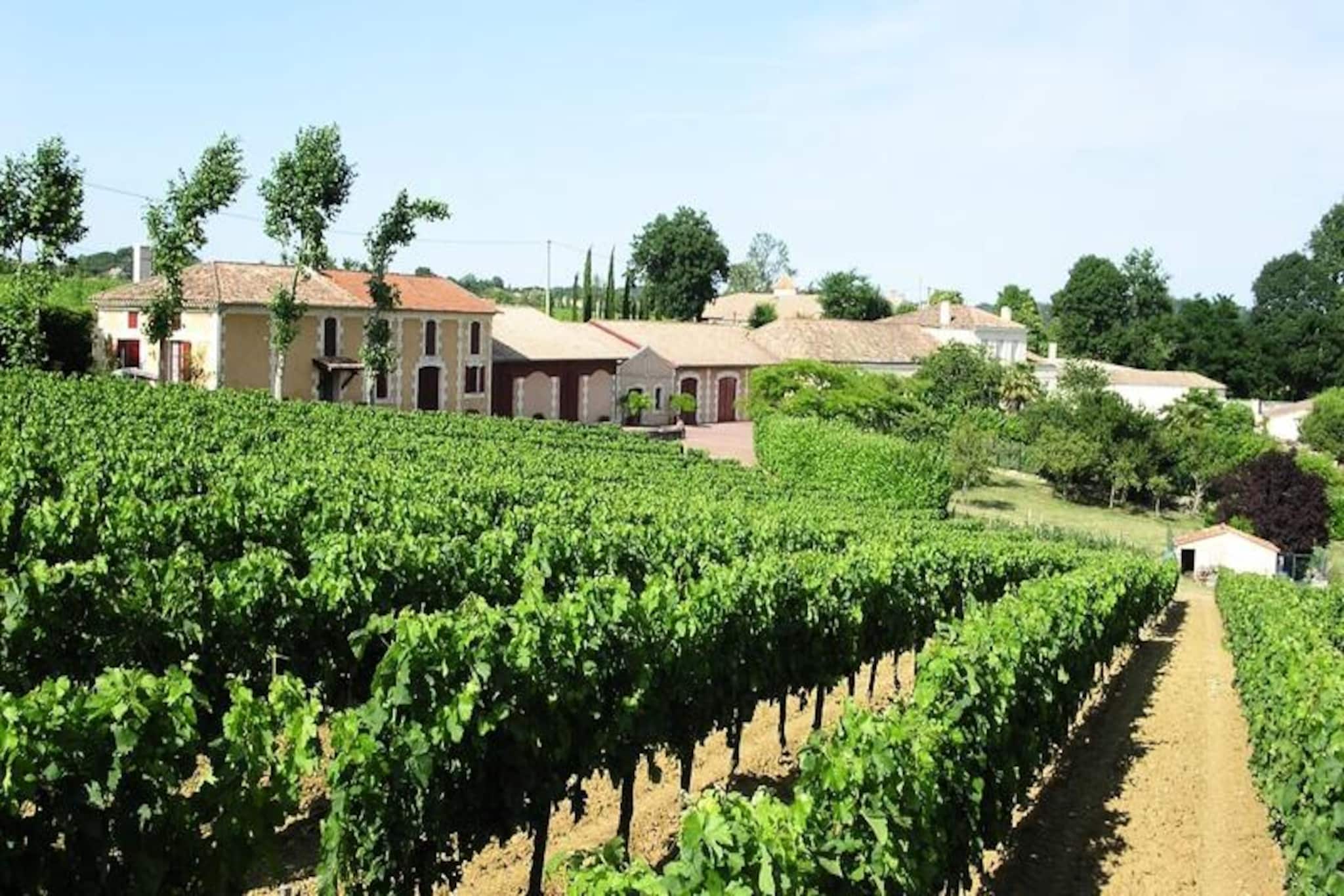Château La Tuilière: Villa Avec Piscine Au Milieu De Son Vignoble-Image-tags.