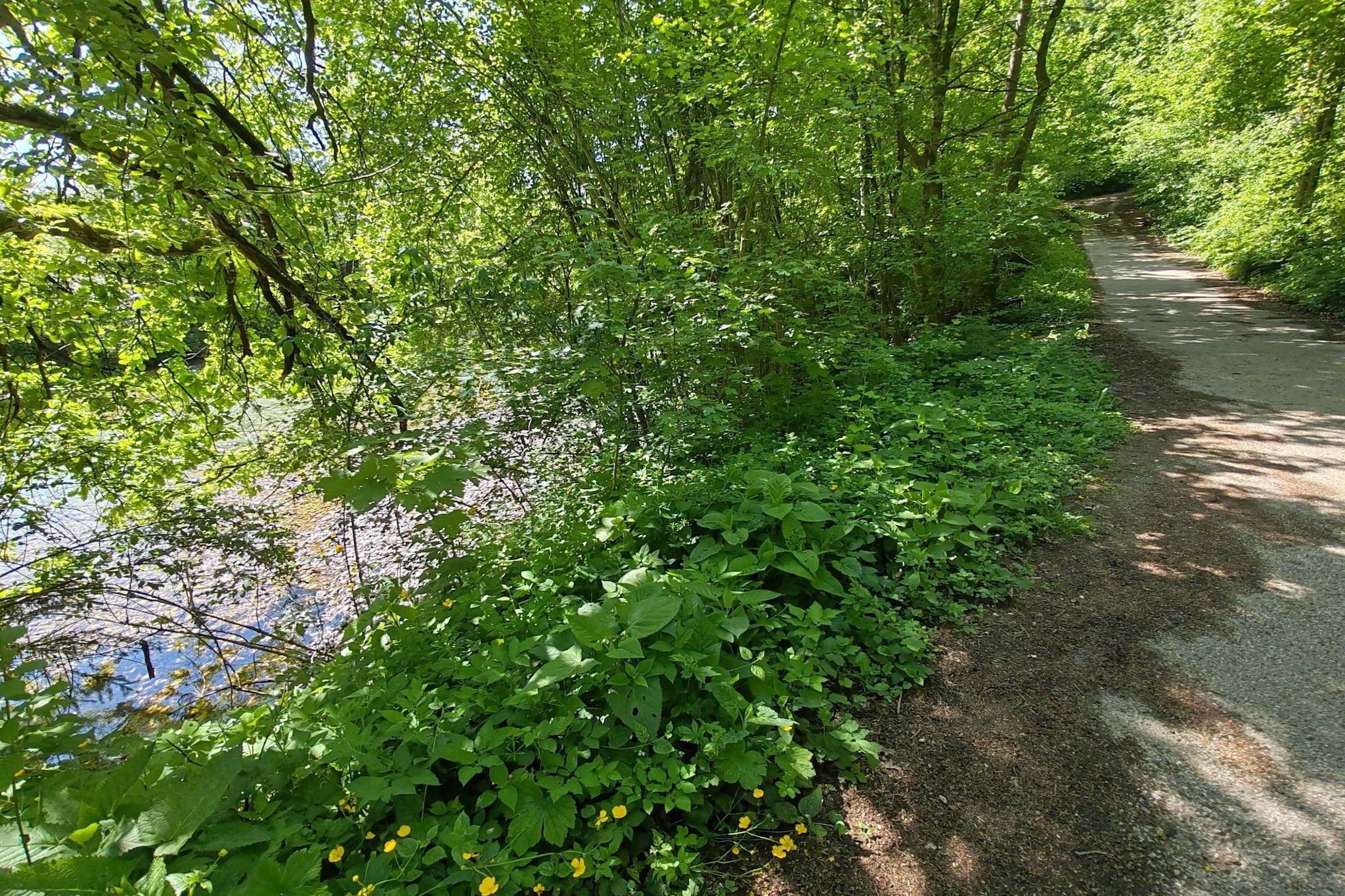 Riverside Unique and Tranquil Apartment - Three Bedroom Apartment-Outdoor