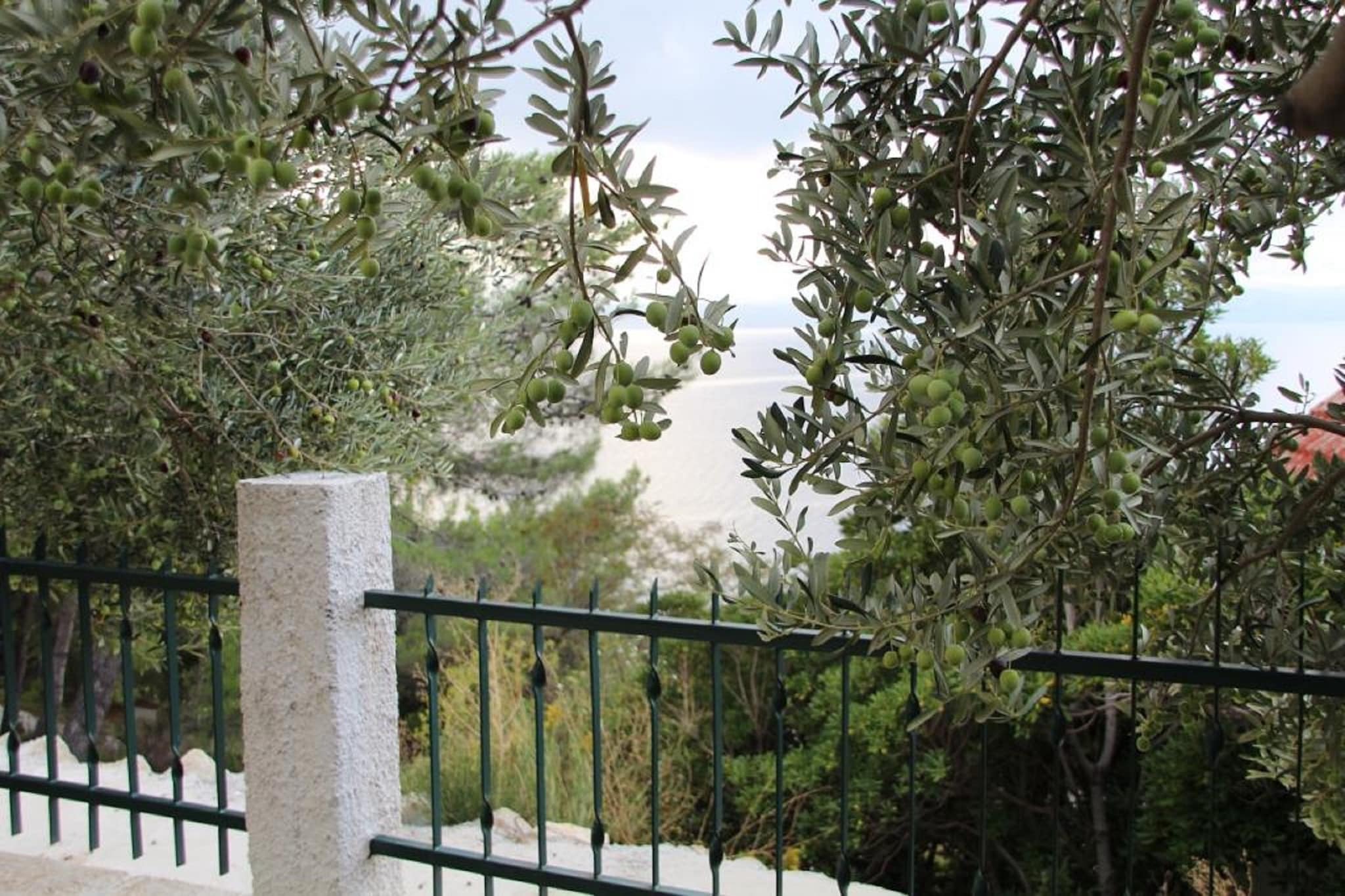 Apartments Tafra - One Bedroom Apartment 4-Terrasse