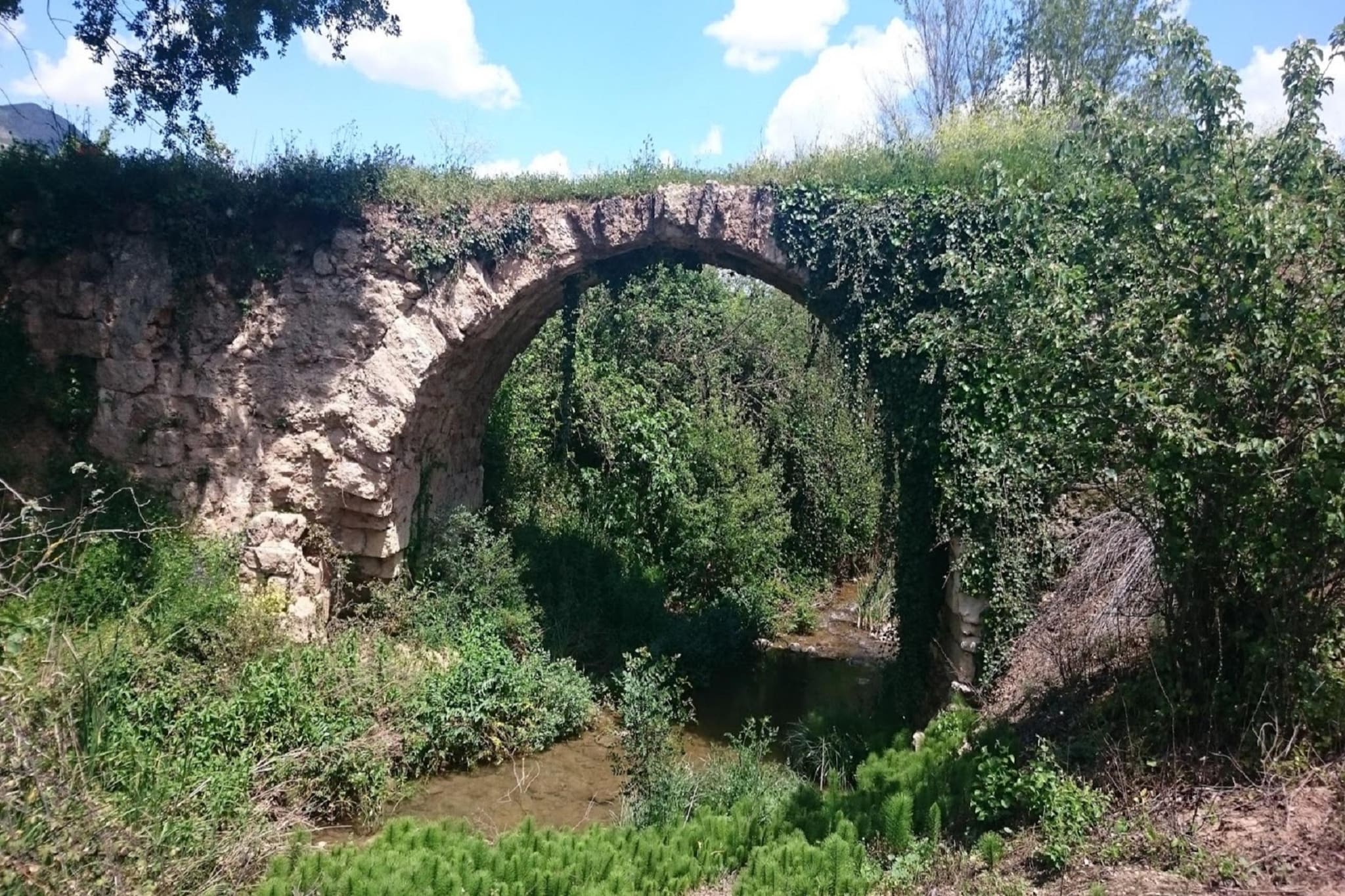 Casilla Daleá-Gebieden zomer 1km