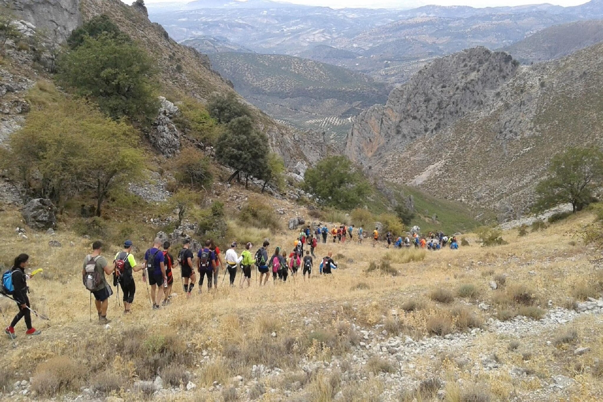 Casilla Daleá-Gebieden zomer 20km