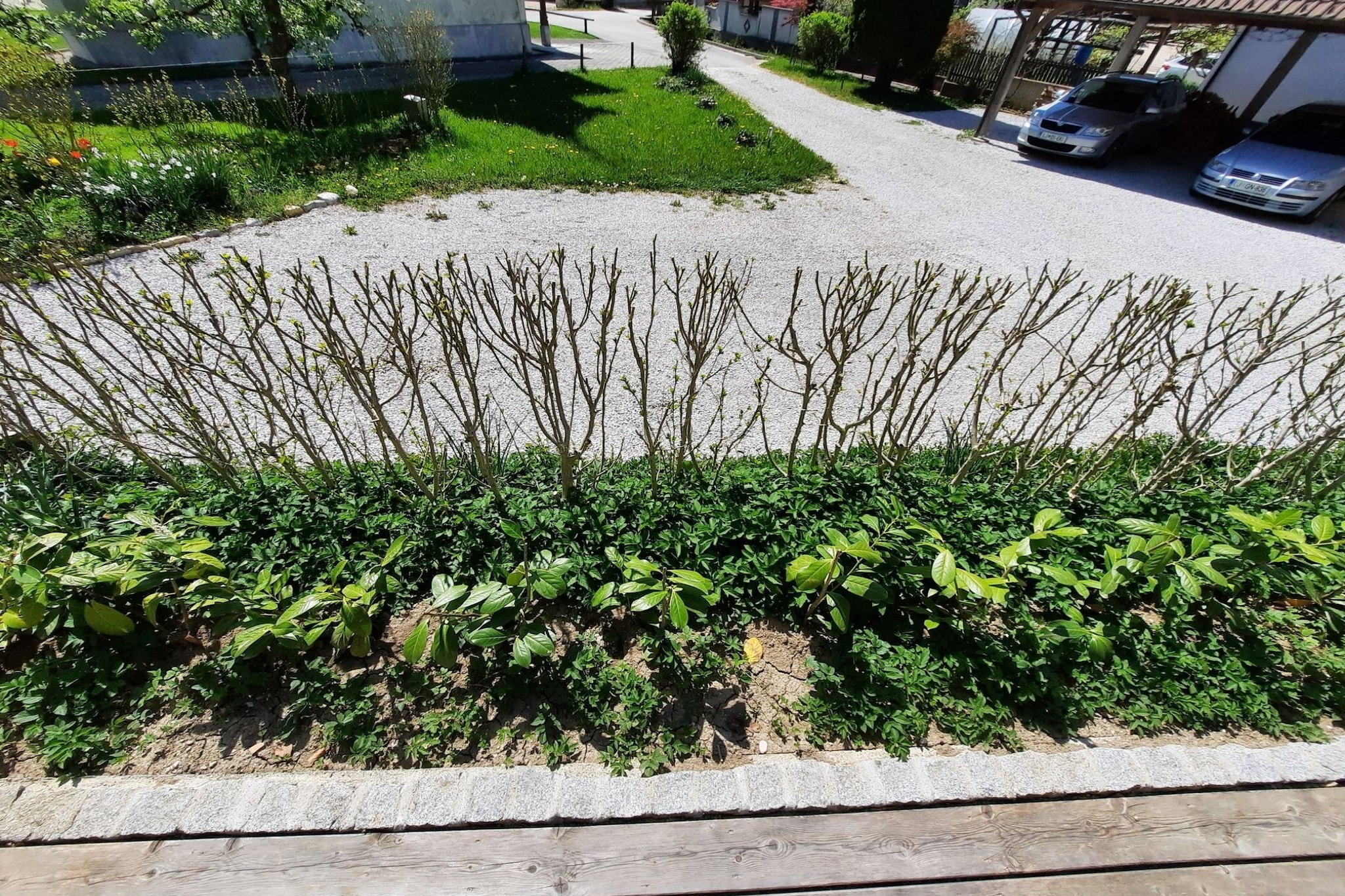 Modern and Pleasant Kamnik Apartment with Terrace - One Bedroom Apartment with Terrace-Outdoor