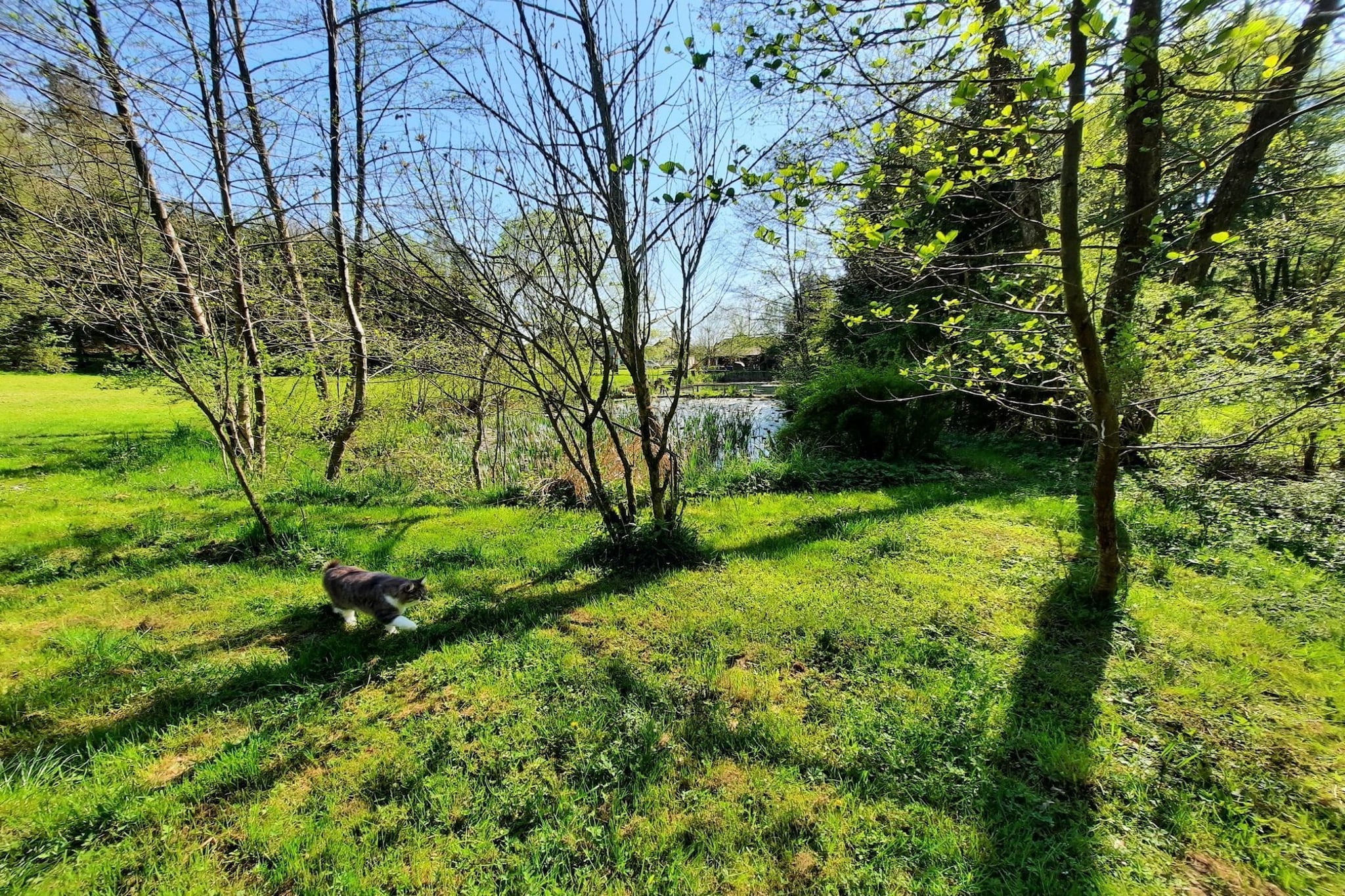 Modern and Pleasant Kamnik Apartment with Terrace - One Bedroom Apartment with Terrace-Outdoor