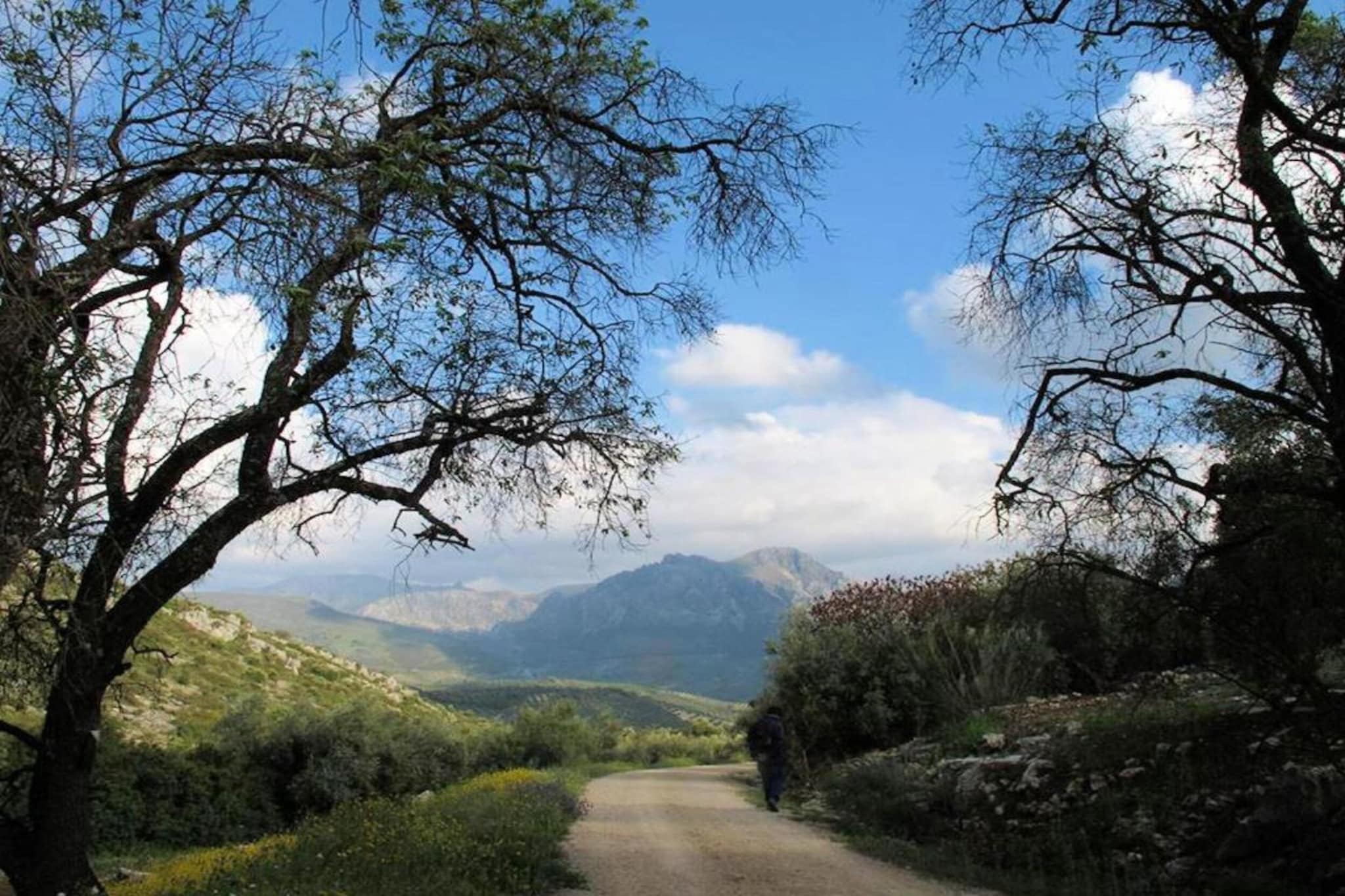 Cerro de la Cruz-Areas summer 20km