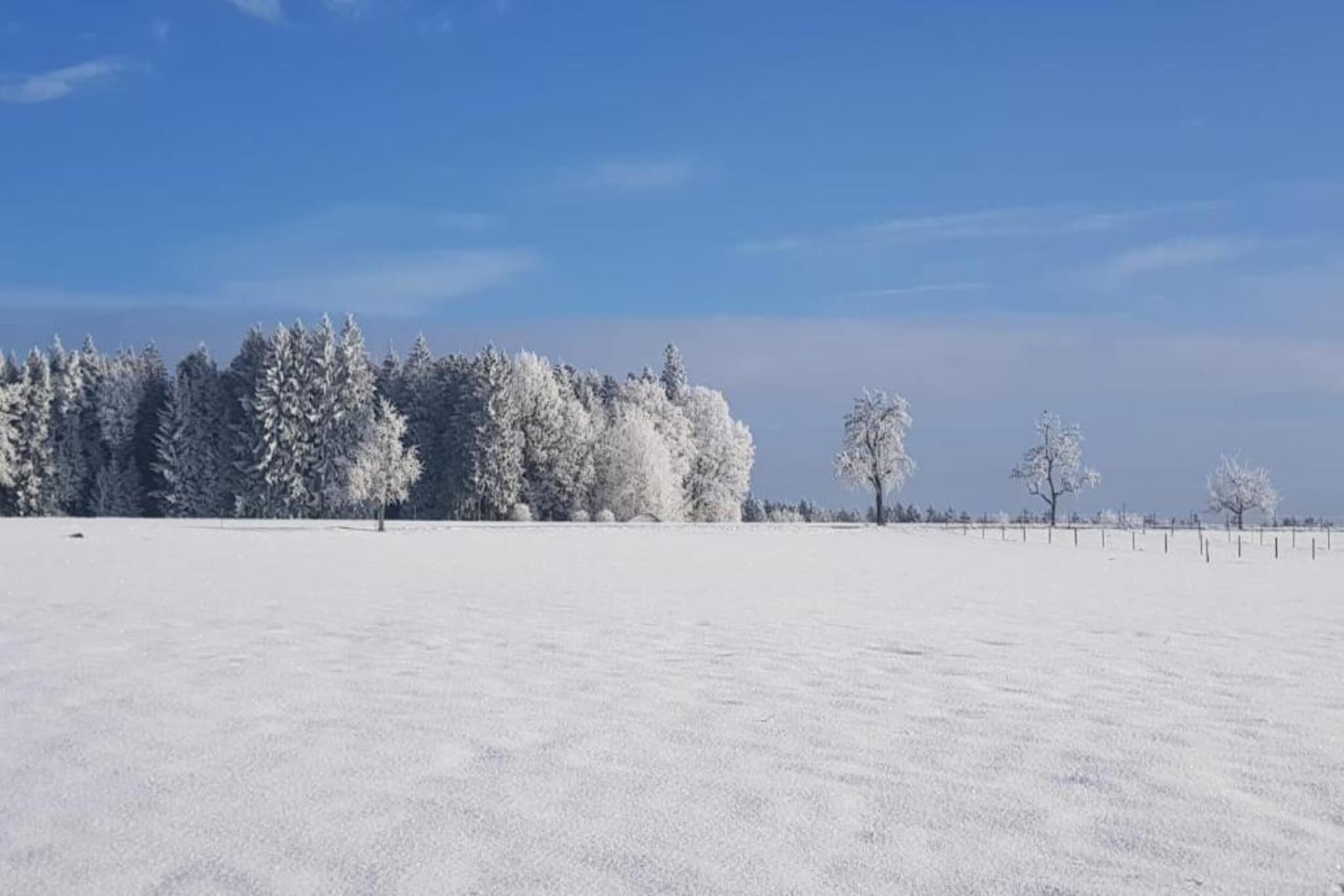 Marianne-Area winter 20km