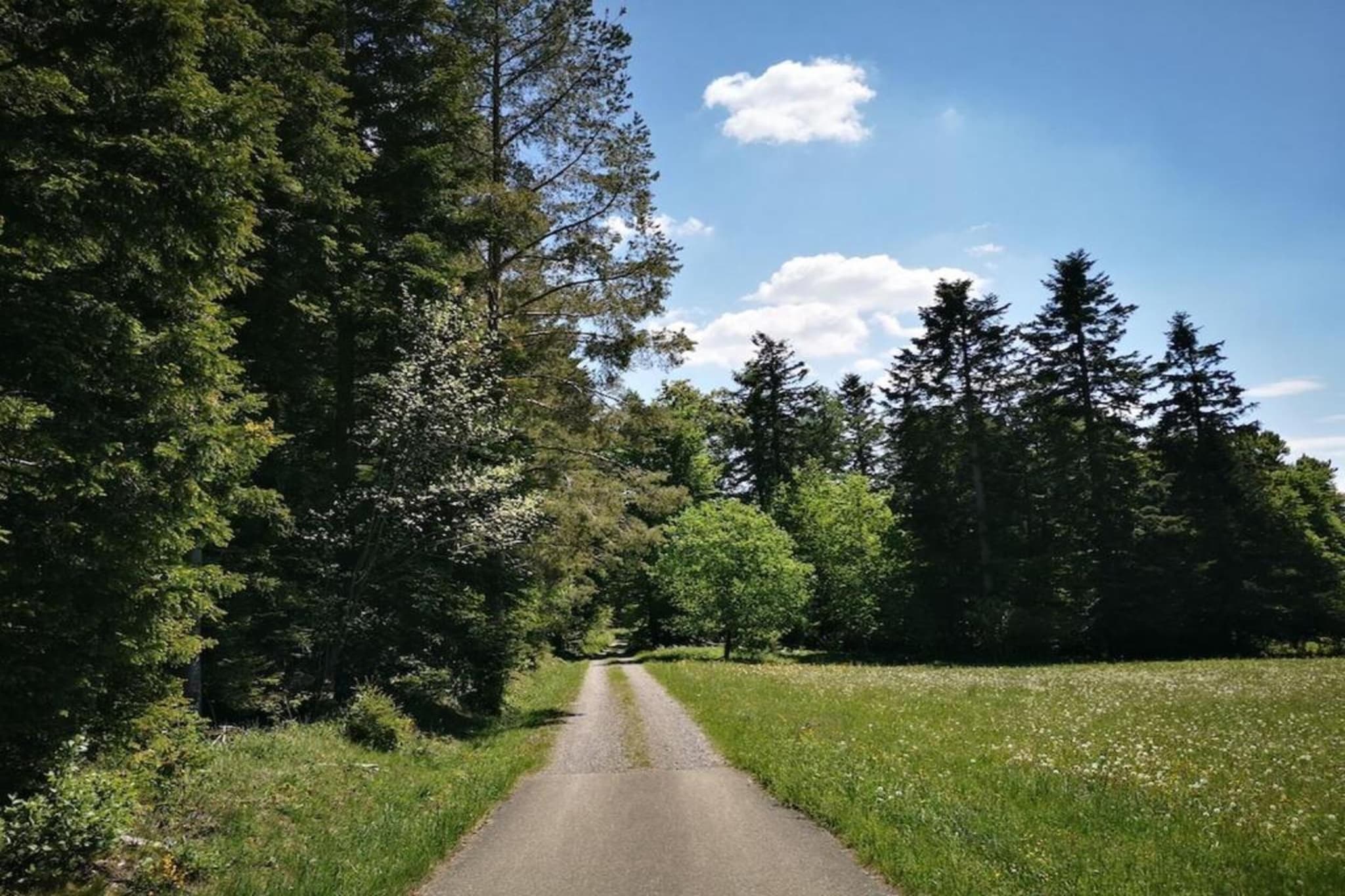 Marianne-Areas summer 20km