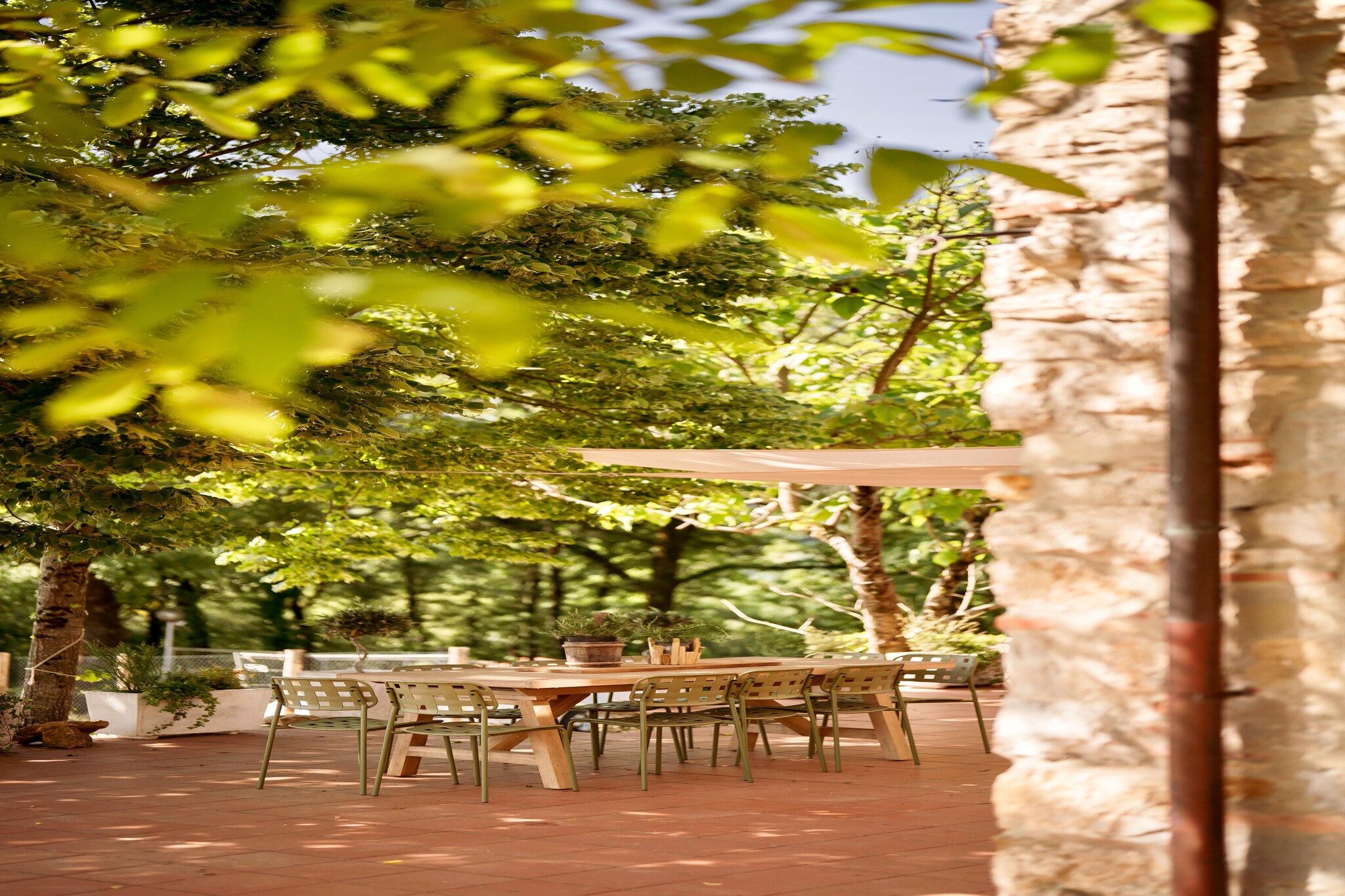 Agriturismo Tenuta Seriole-Terrasbalkon