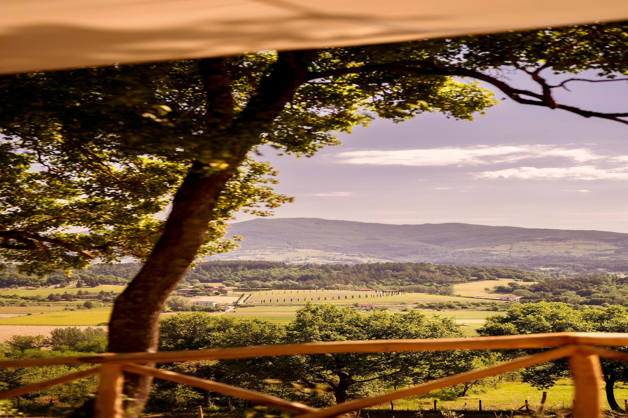 Agriturismo Tenuta Seriole-Uitzicht zomer