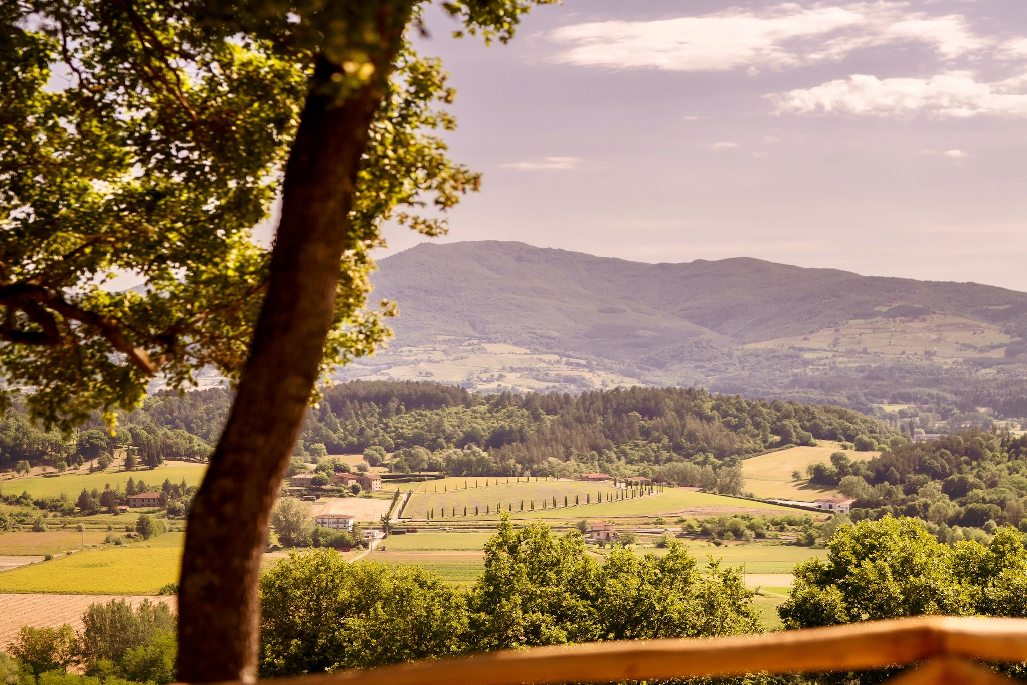 Agriturismo Tenuta Seriole-Uitzicht zomer
