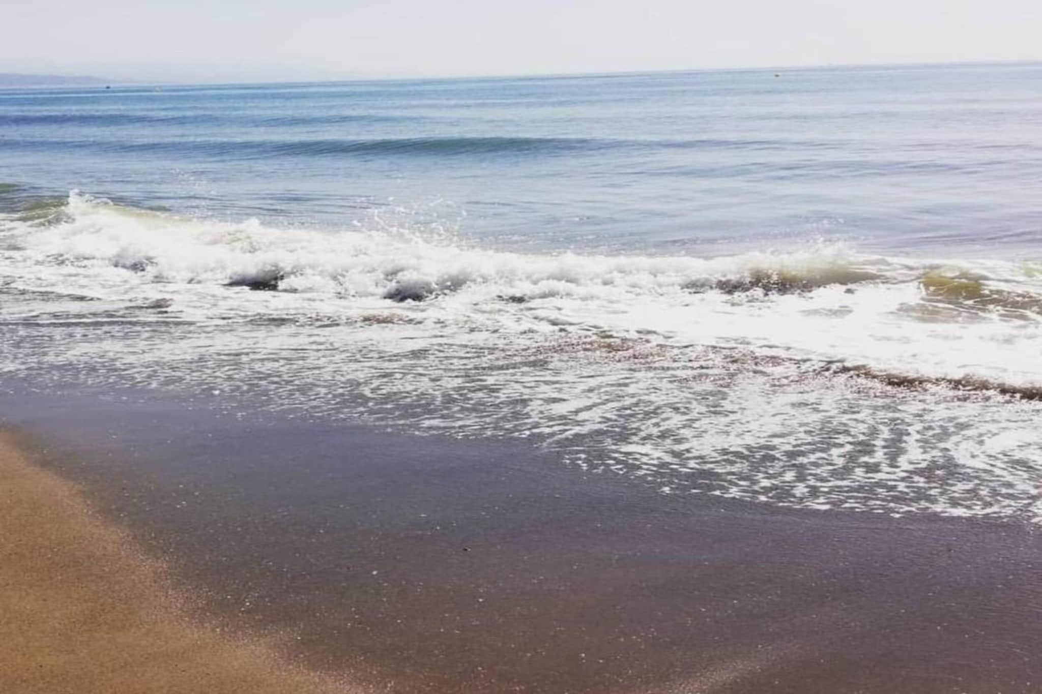 Salmon de SteraM FLATS Torremolinos-Gebieden zomer 20km