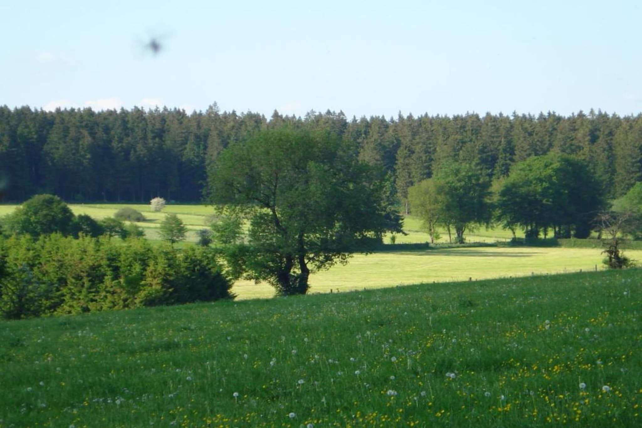 Prémassin-Gebiete Sommer 20 km