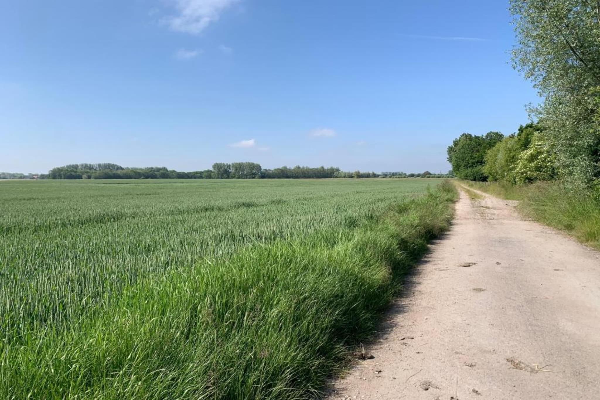 Lighthouse Corner 0405-Gebieden zomer 20km