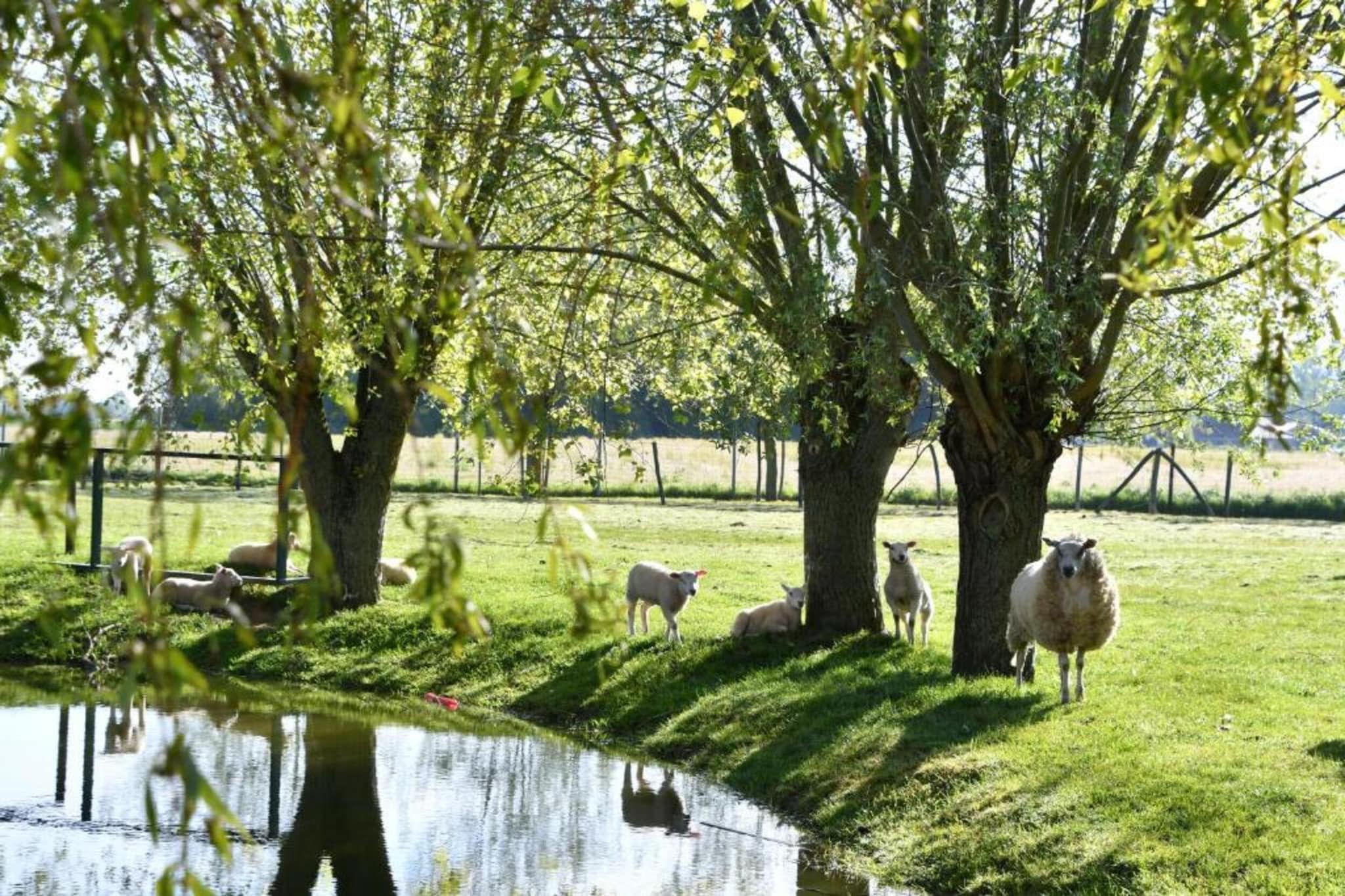 The Green 57/0102-Gebieden zomer 20km