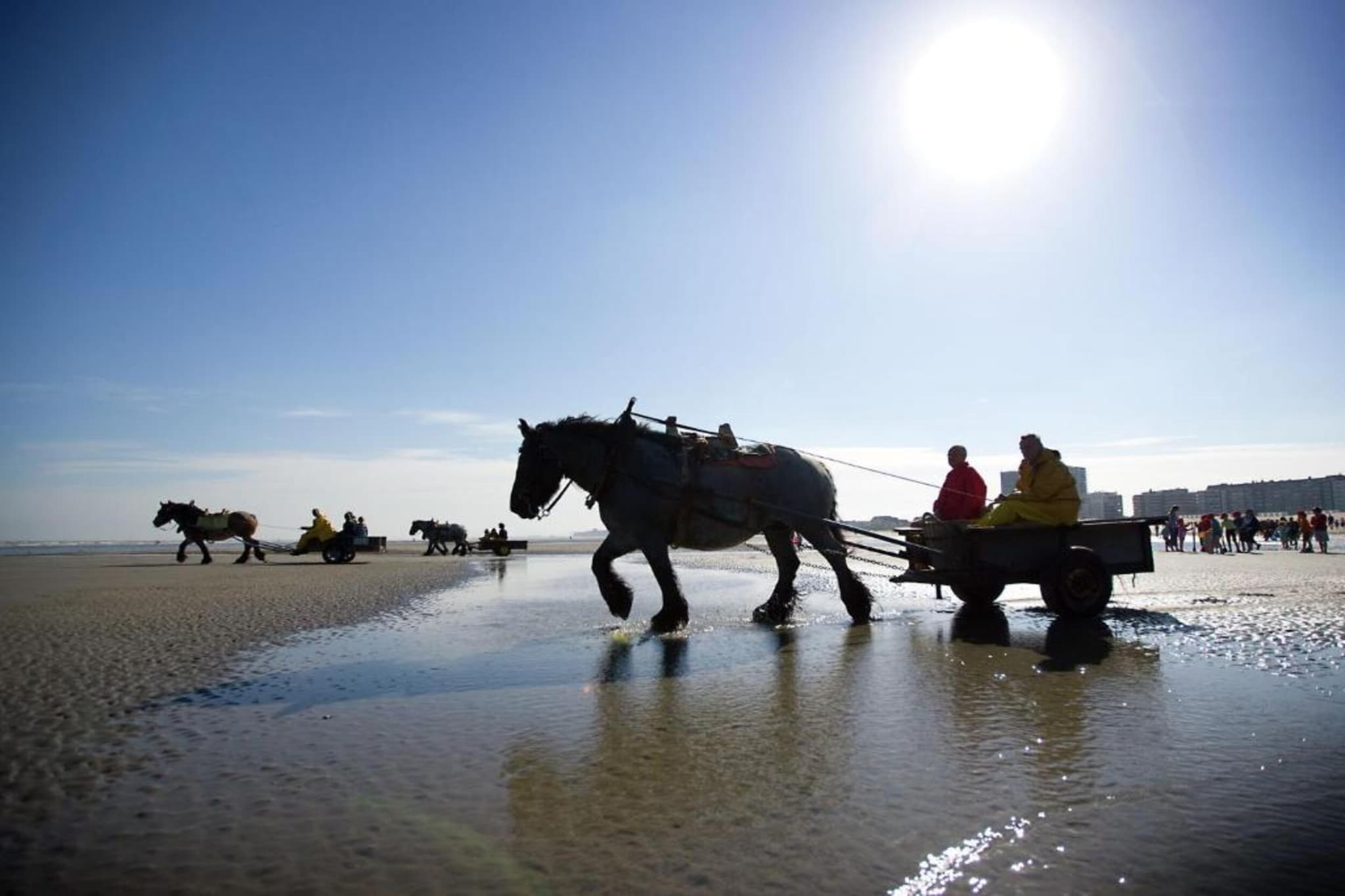 Strand Imperial 0503-Gebieden zomer 20km