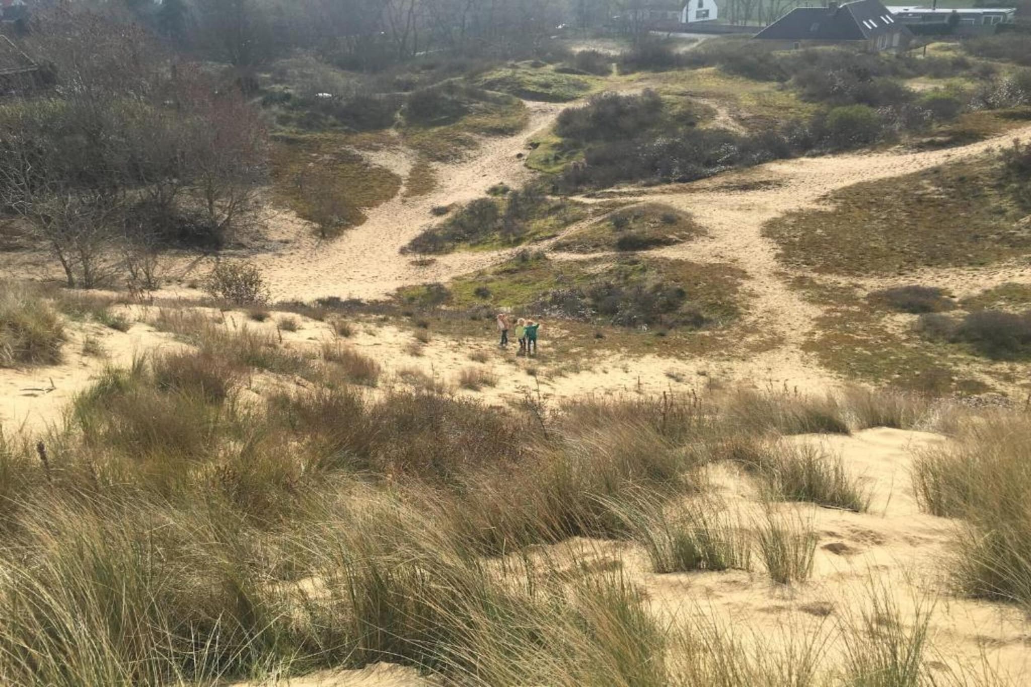 Strand Imperial 0503-Gebieden zomer 20km