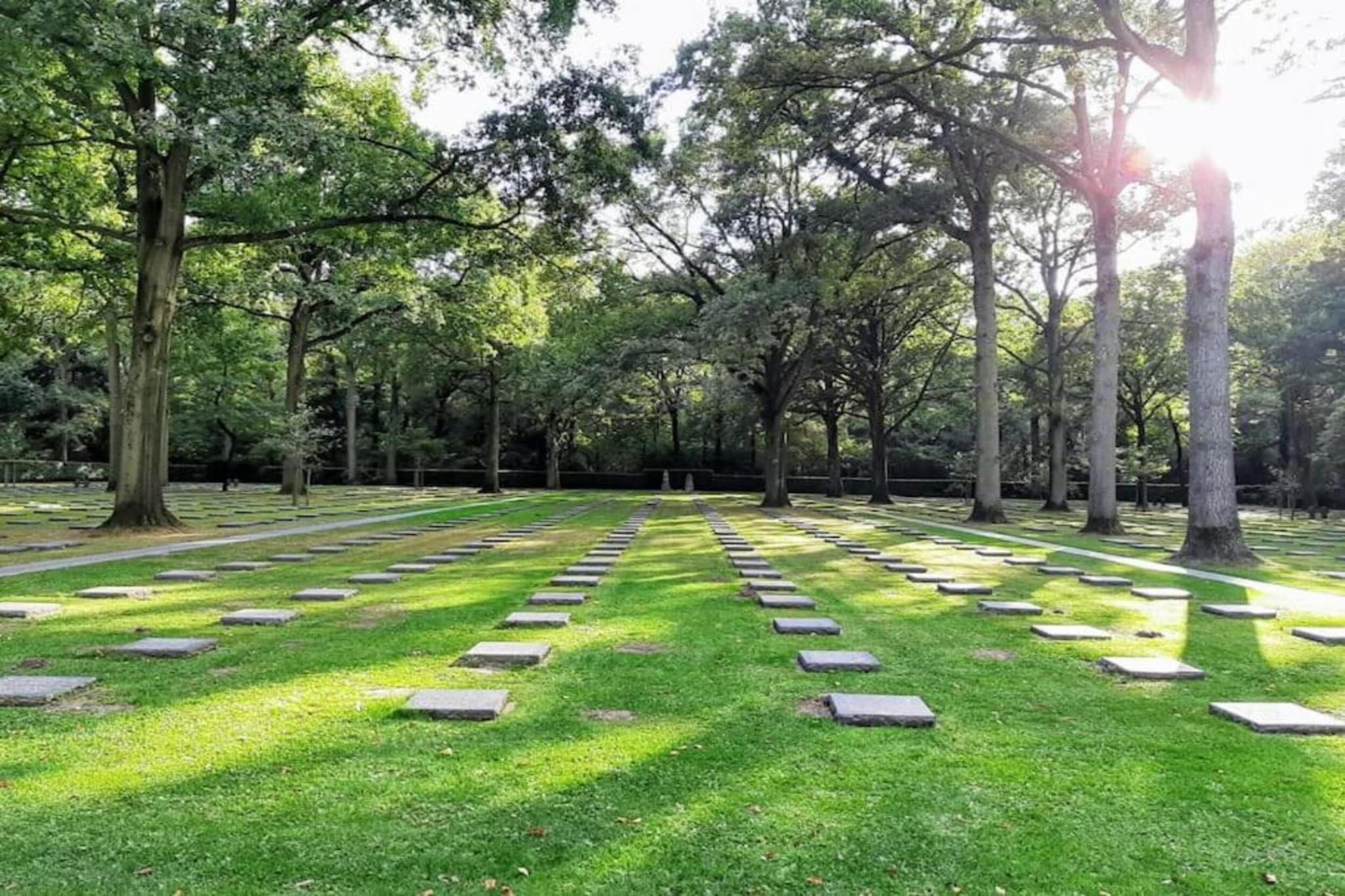 The Green 17-Areas summer 20km