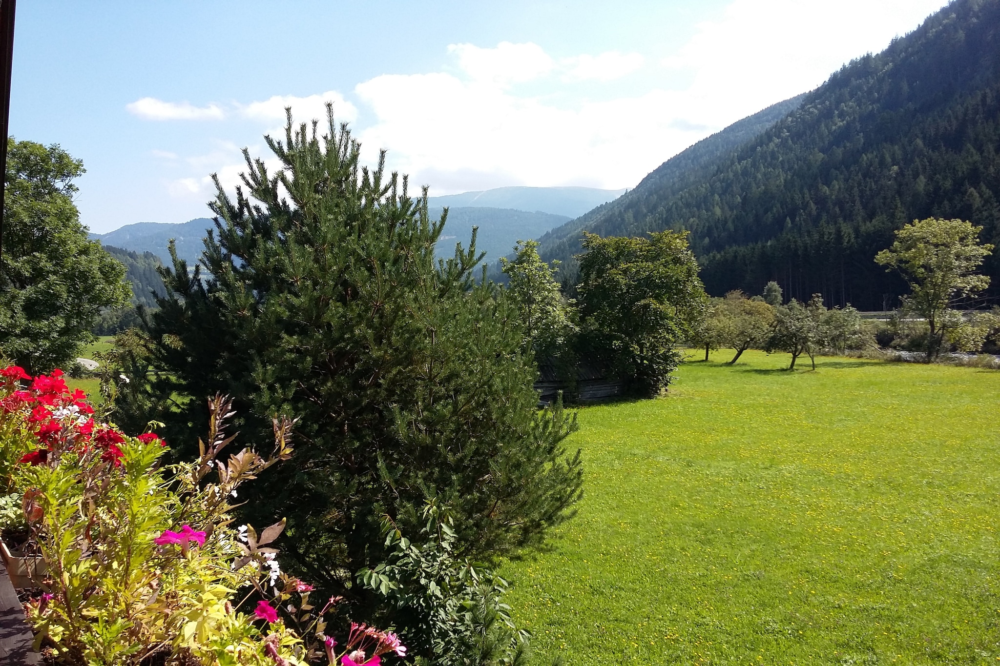 Chalet Eder-Uitzicht zomer