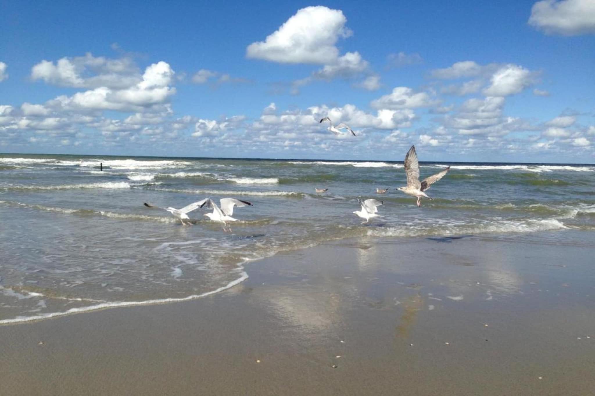 Strandpark Vlugtenburg 15-Gebiete Sommer 20 km