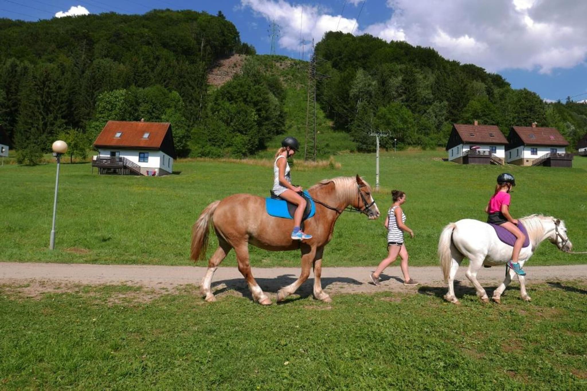 Green Valley Park 1-Buitenkant zomer