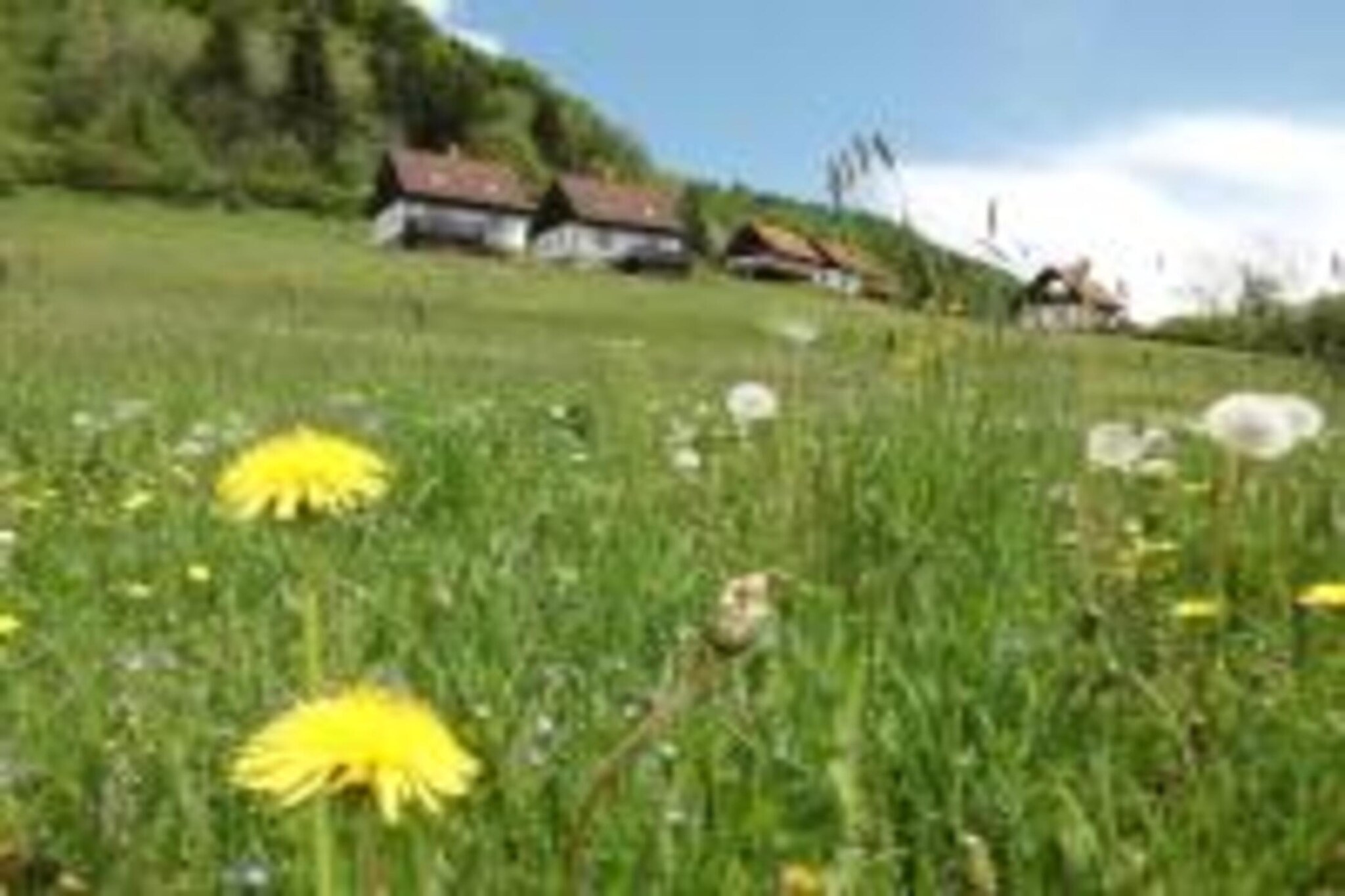 Green Valley Park 1-Buitenkant zomer