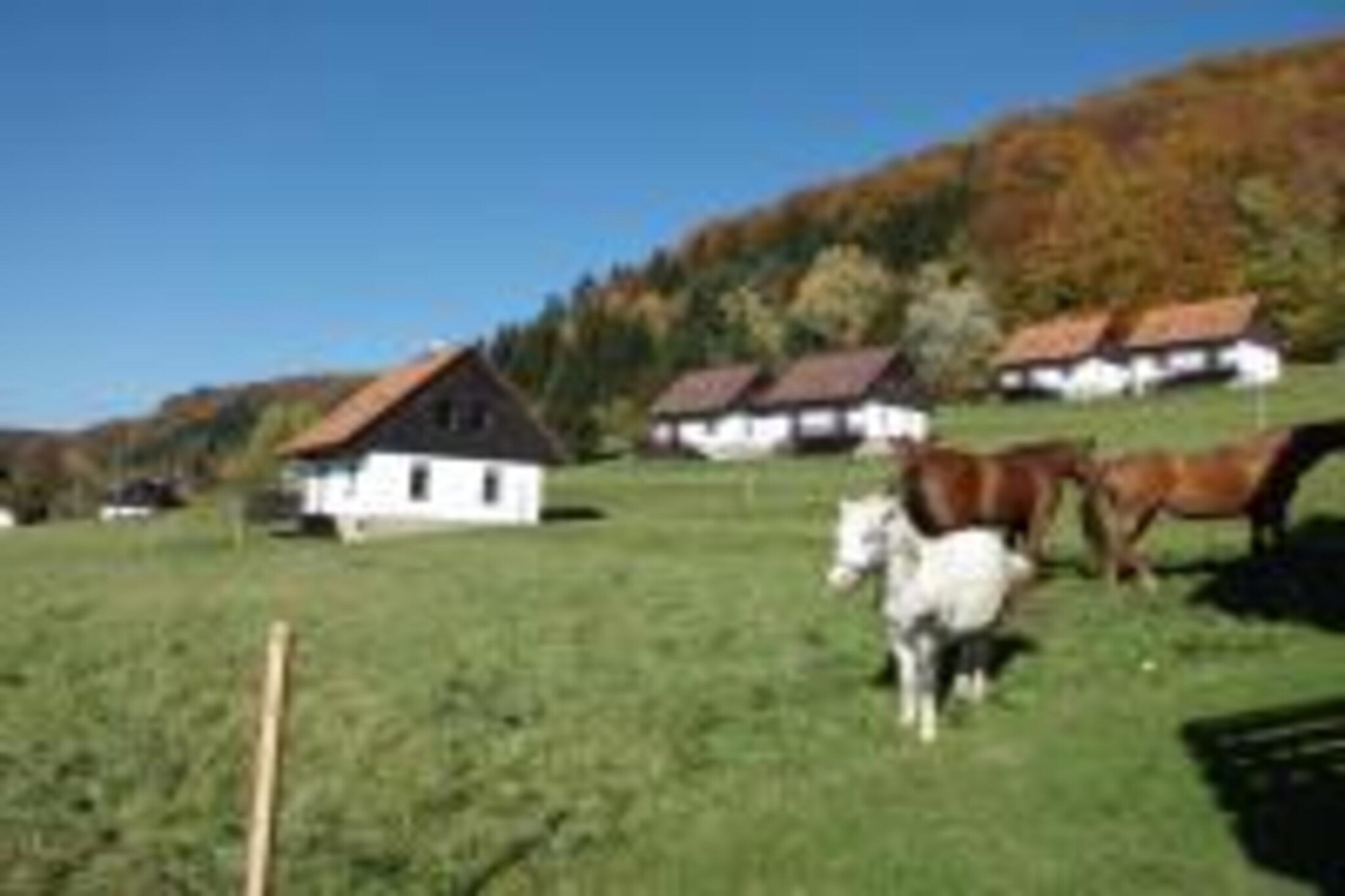 Green Valley Park 1-Buitenkant zomer