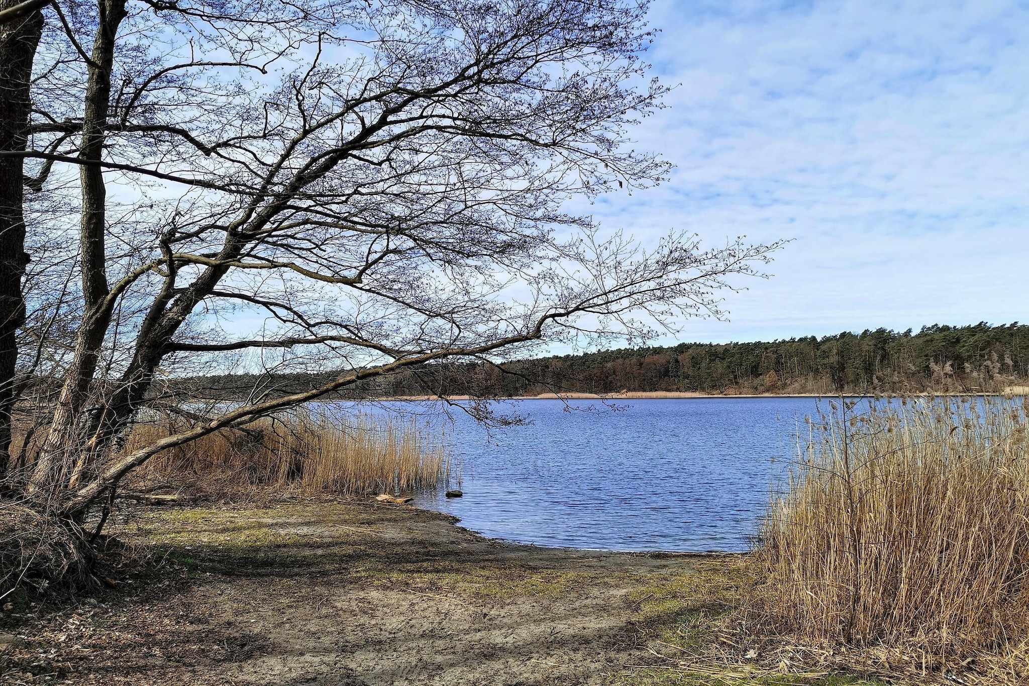 Luxus-Familienappartement / 6 Personen-Areas within 1km in summer