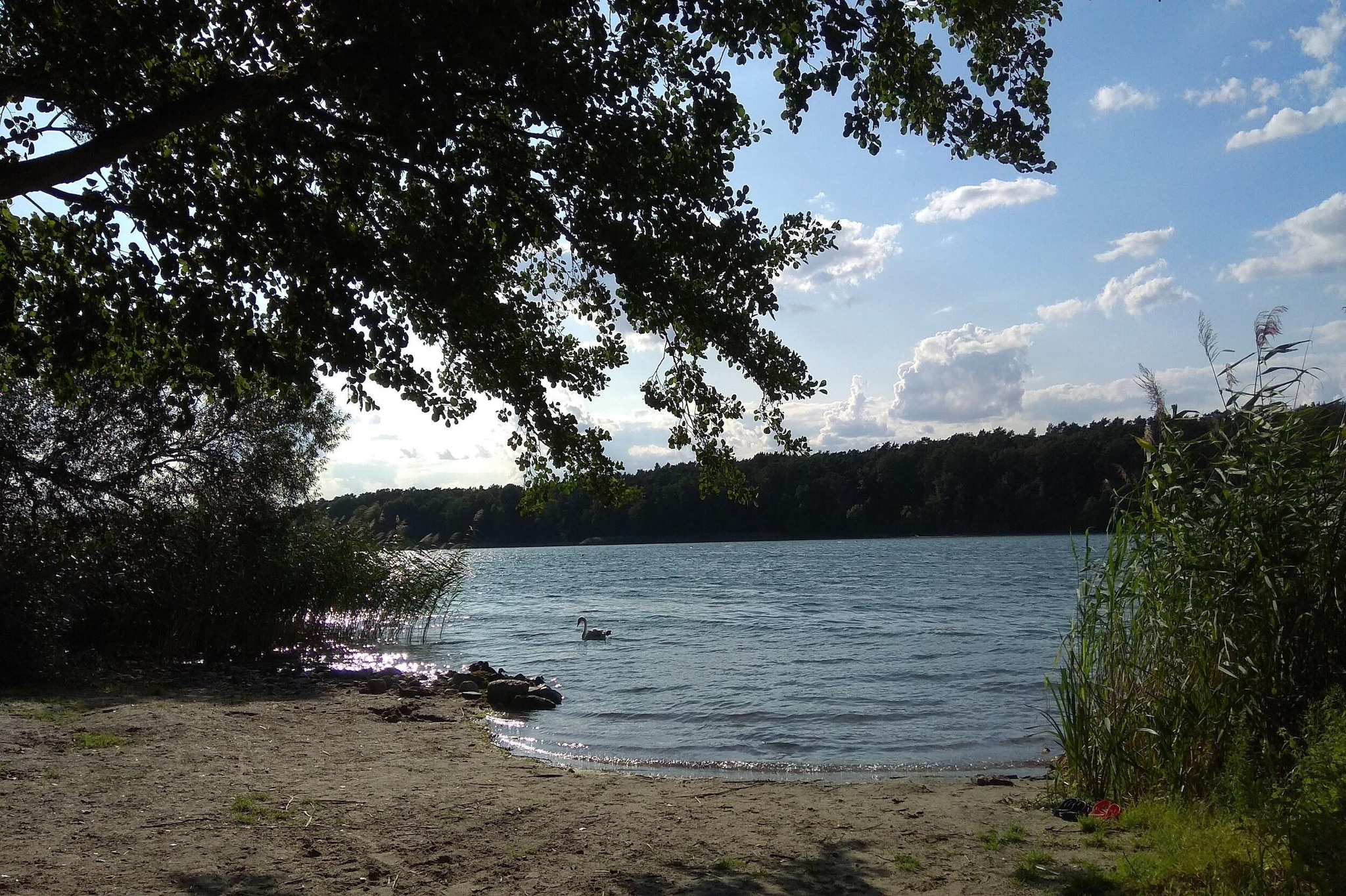 Luxus-Familienappartement / 6 Personen-Areas within 1km in summer