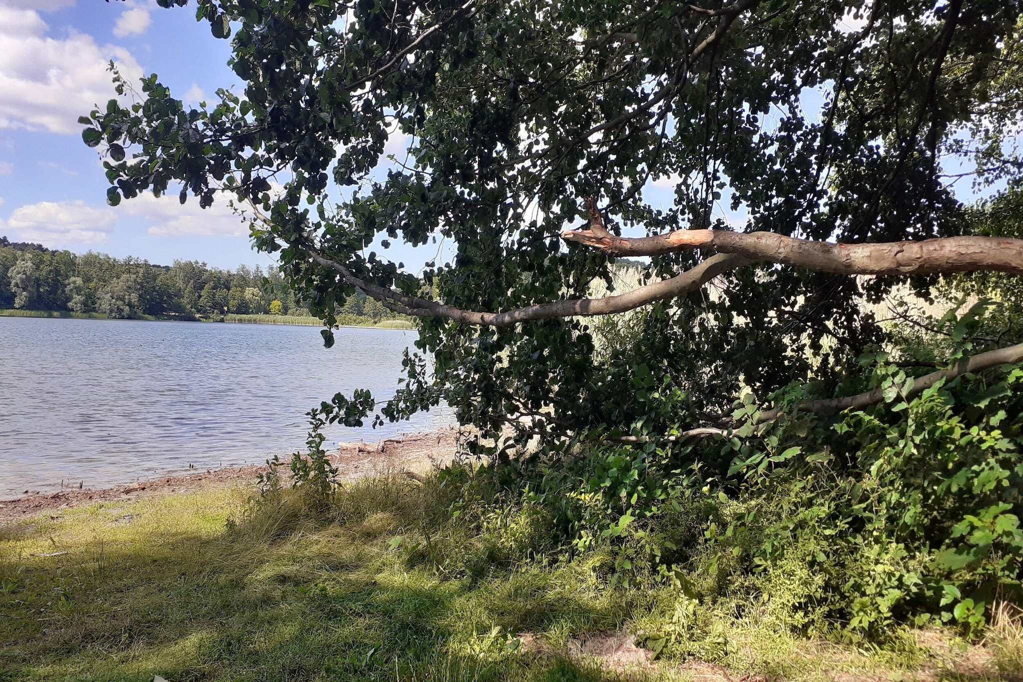 Luxus-Familienappartement / 6 Personen-Areas within 1km in summer