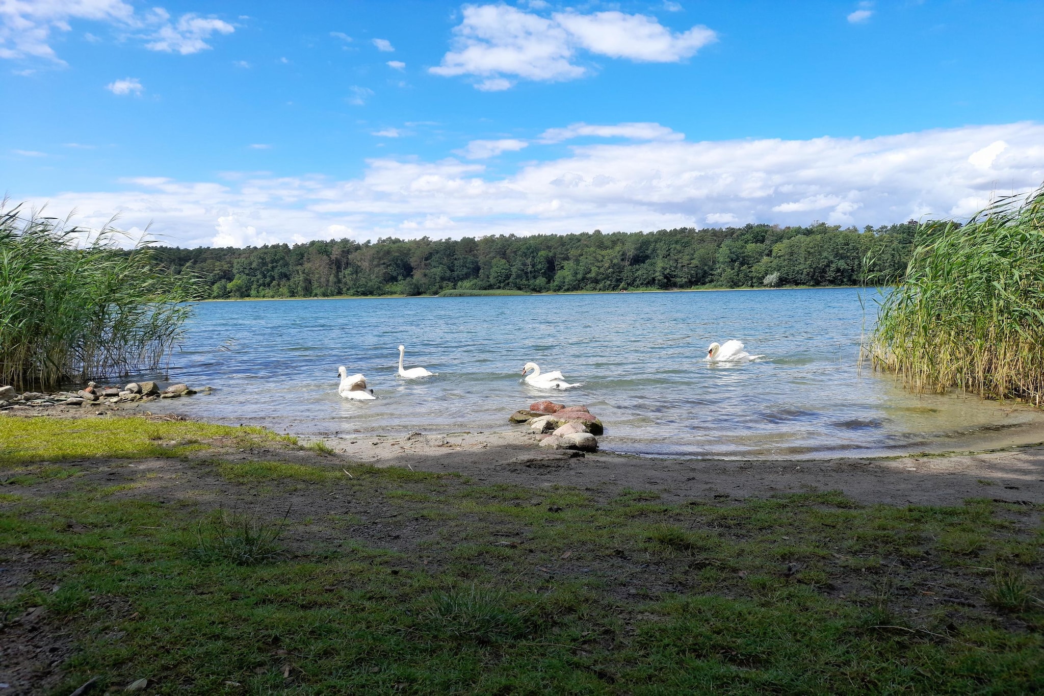 Luxus-Familienappartement / 6 Personen-Areas within 5km in summer