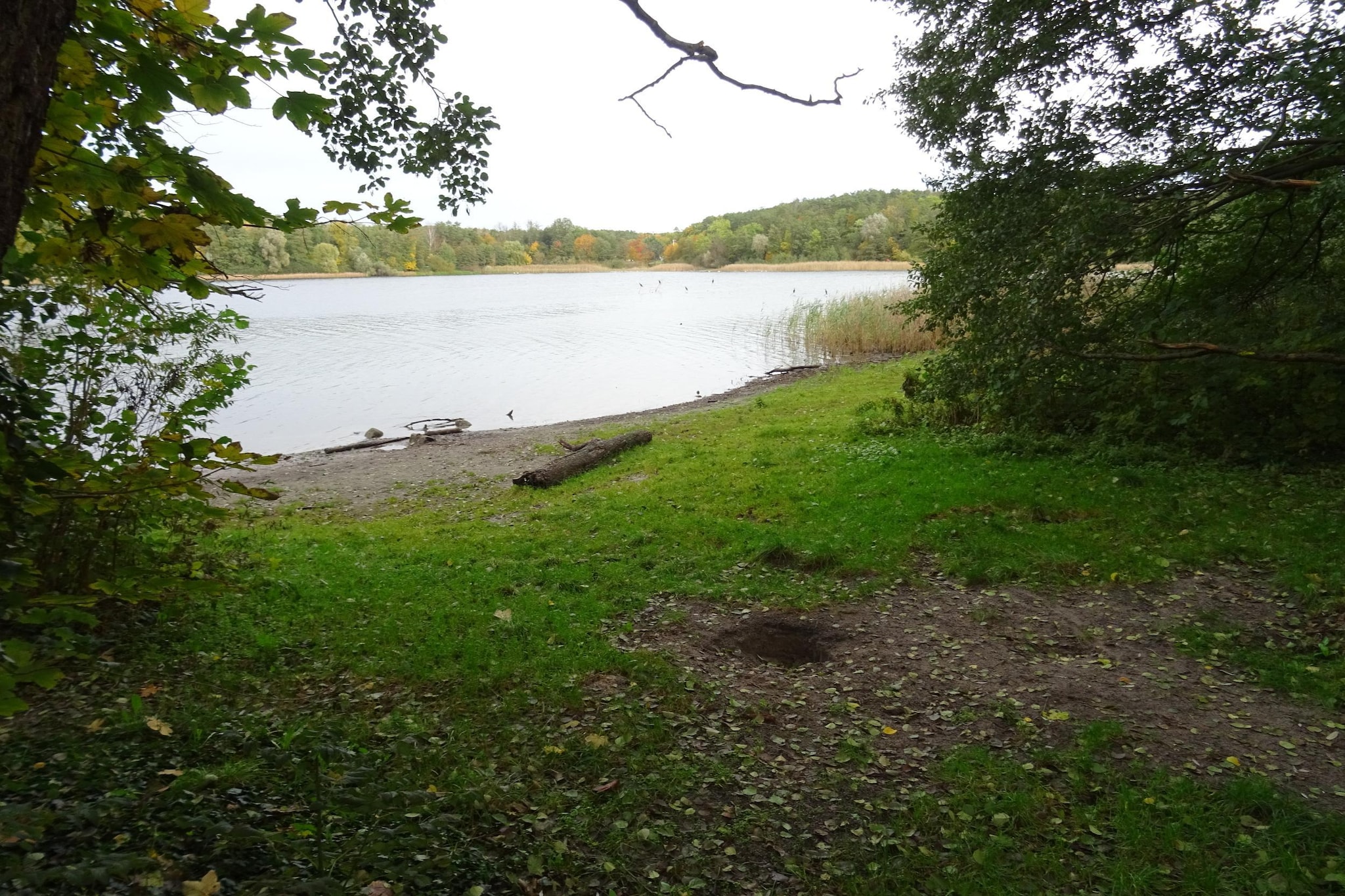 Luxus-Familienappartement / 6 Personen-Areas within 5km in summer