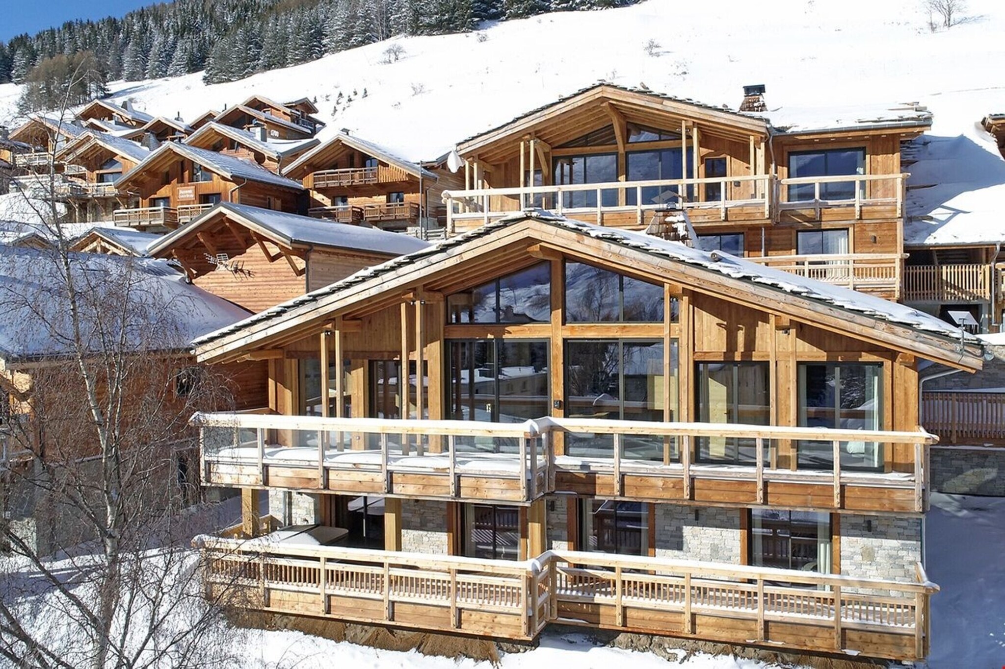 Chalet Le Télémark Les Deux Alpes
