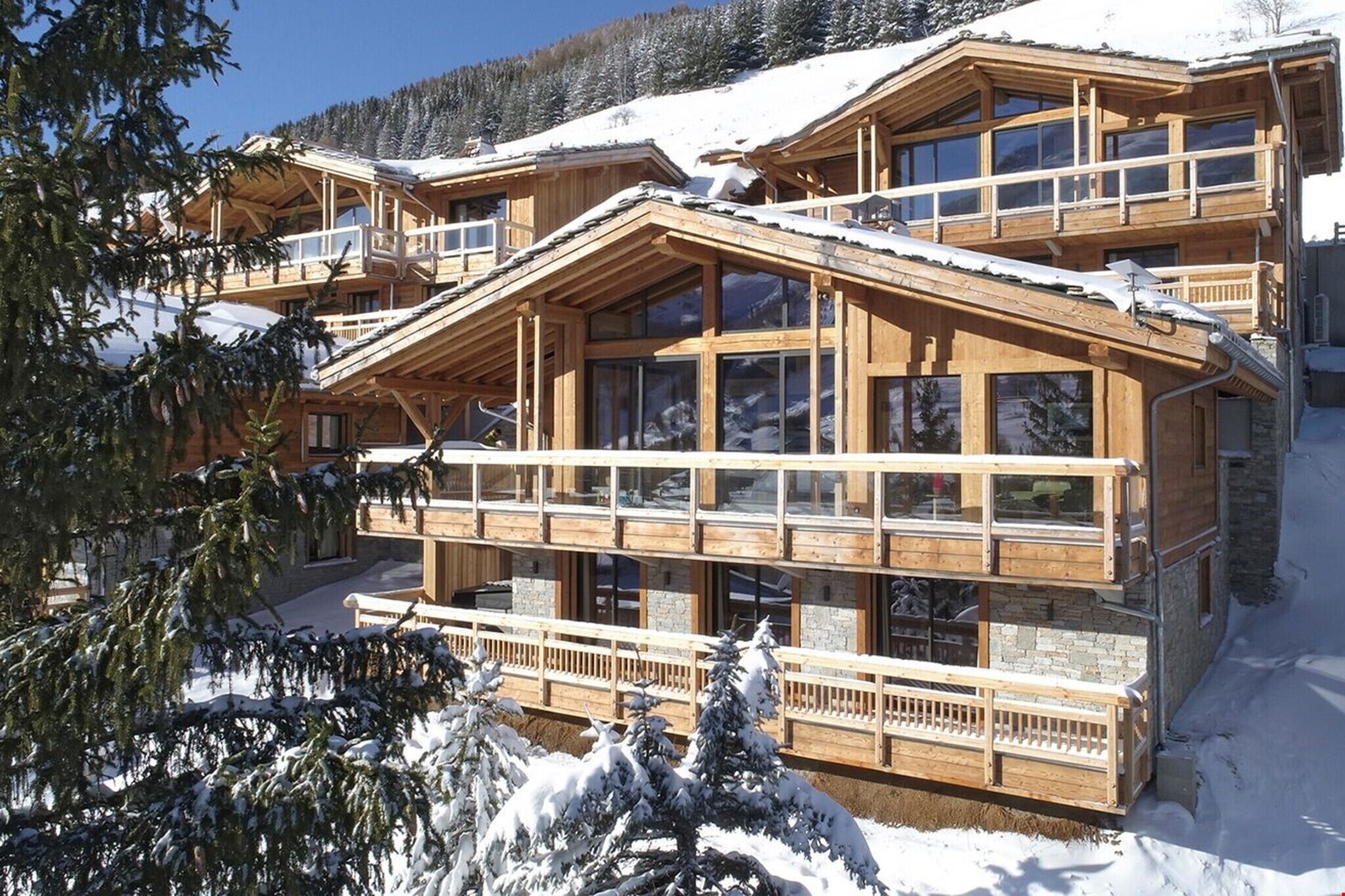 Chalet La Panthère des neiges Les Deux Alpes
