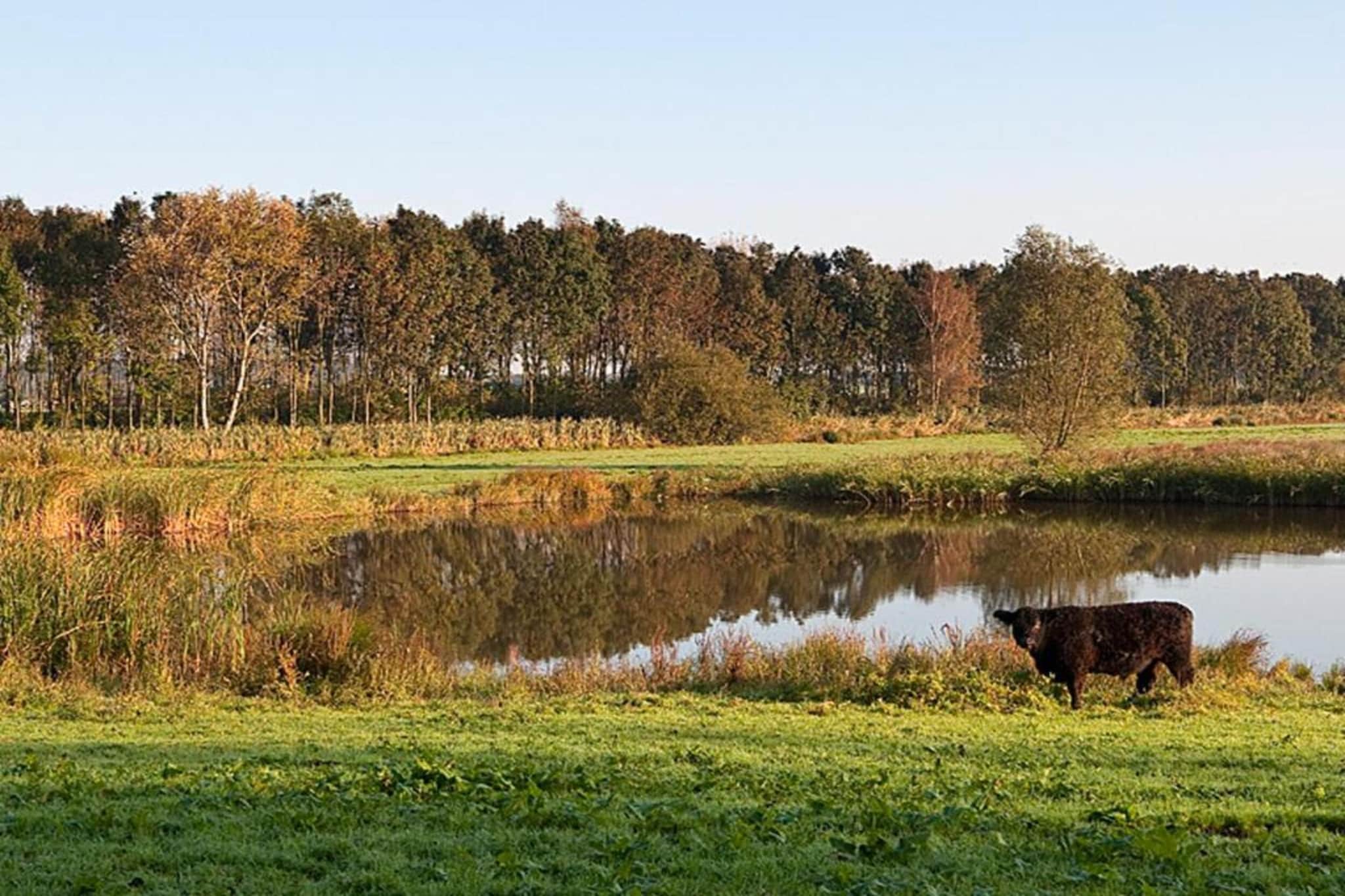 Delft 1A-Gebieden zomer 20km