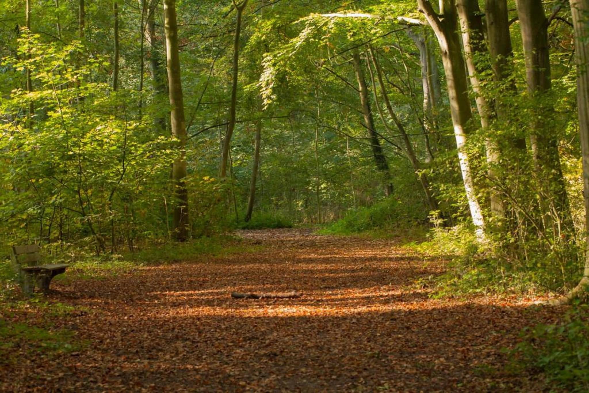 Delft 2A-Areas summer 20km