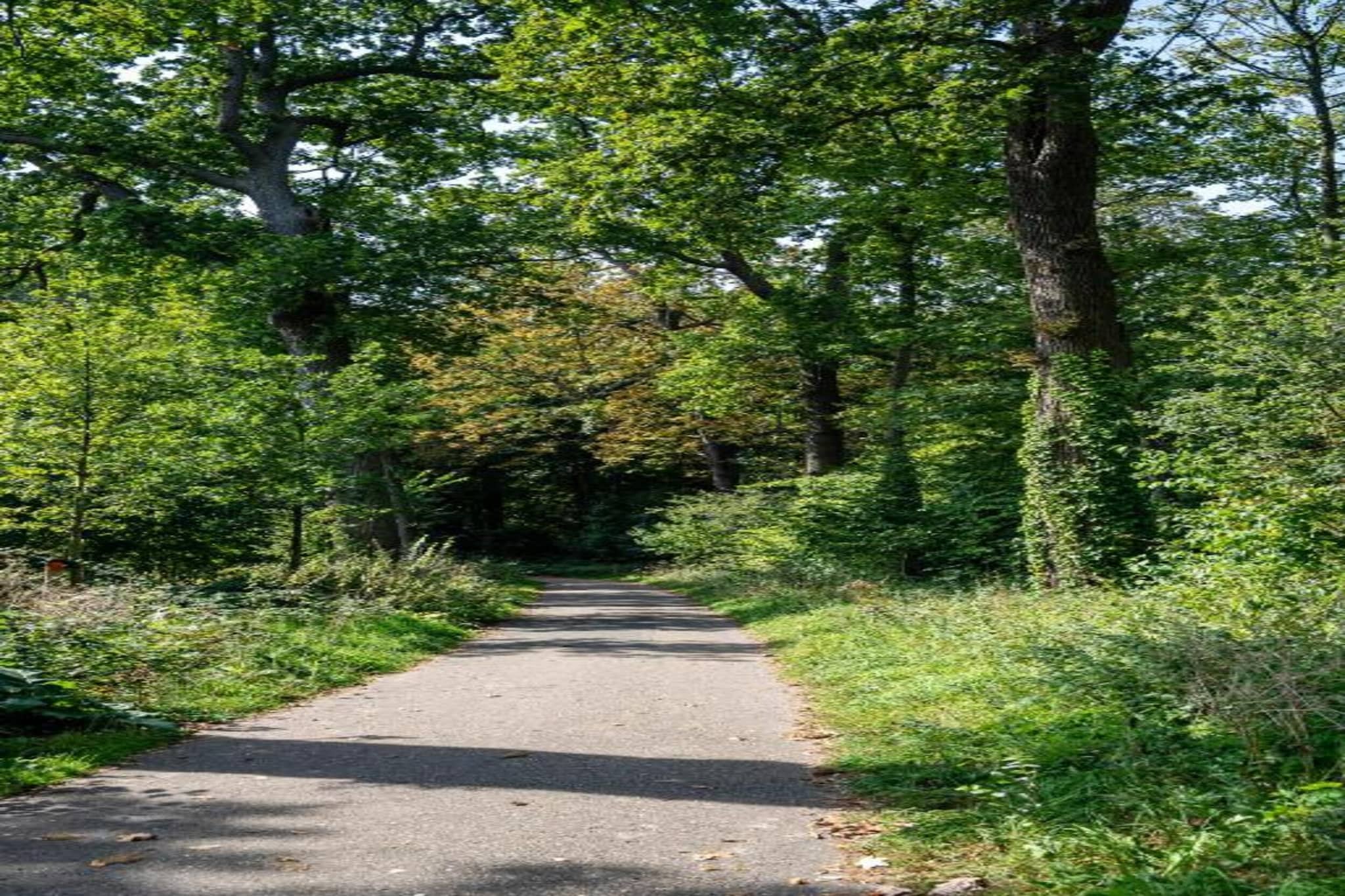 Delft 5B-Gebieden zomer 20km