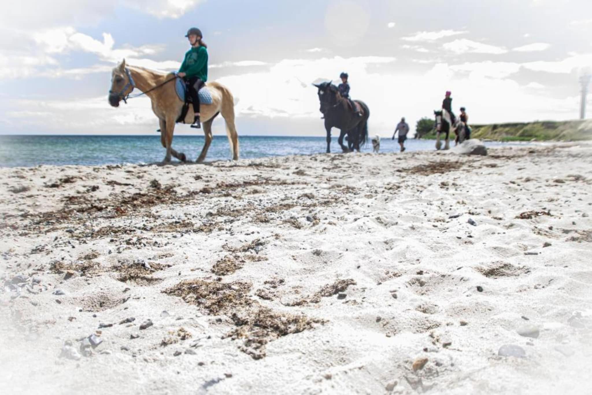 Ferienwohnung Strandlooper auf Fehmarn-Gebieden zomer 20km
