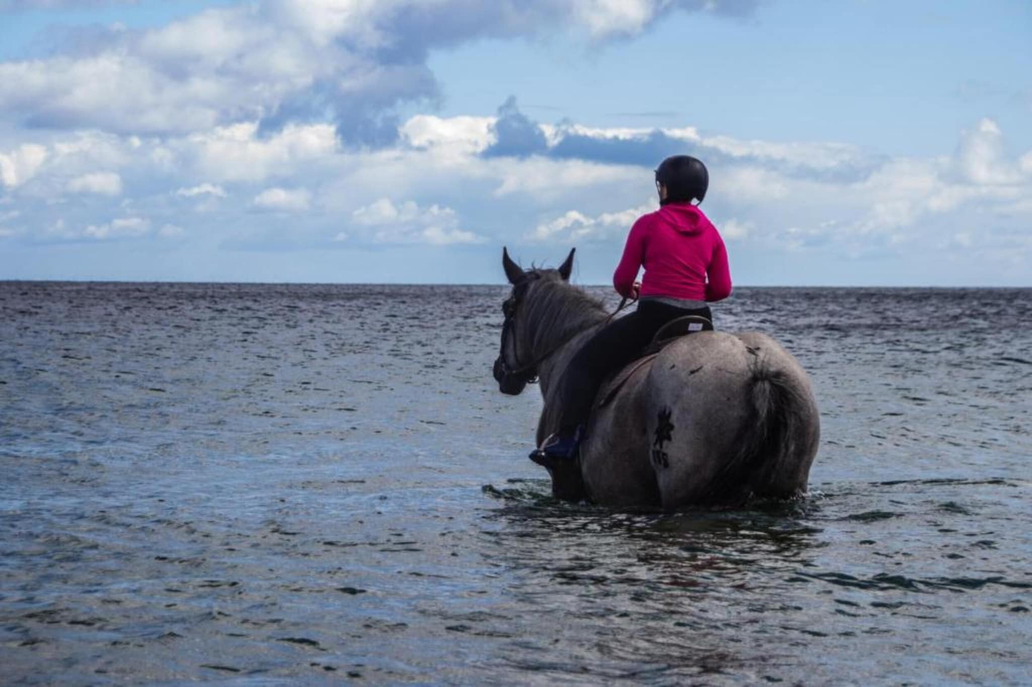 Ferienwohnung Strandlooper auf Fehmarn-Gebieden zomer 20km