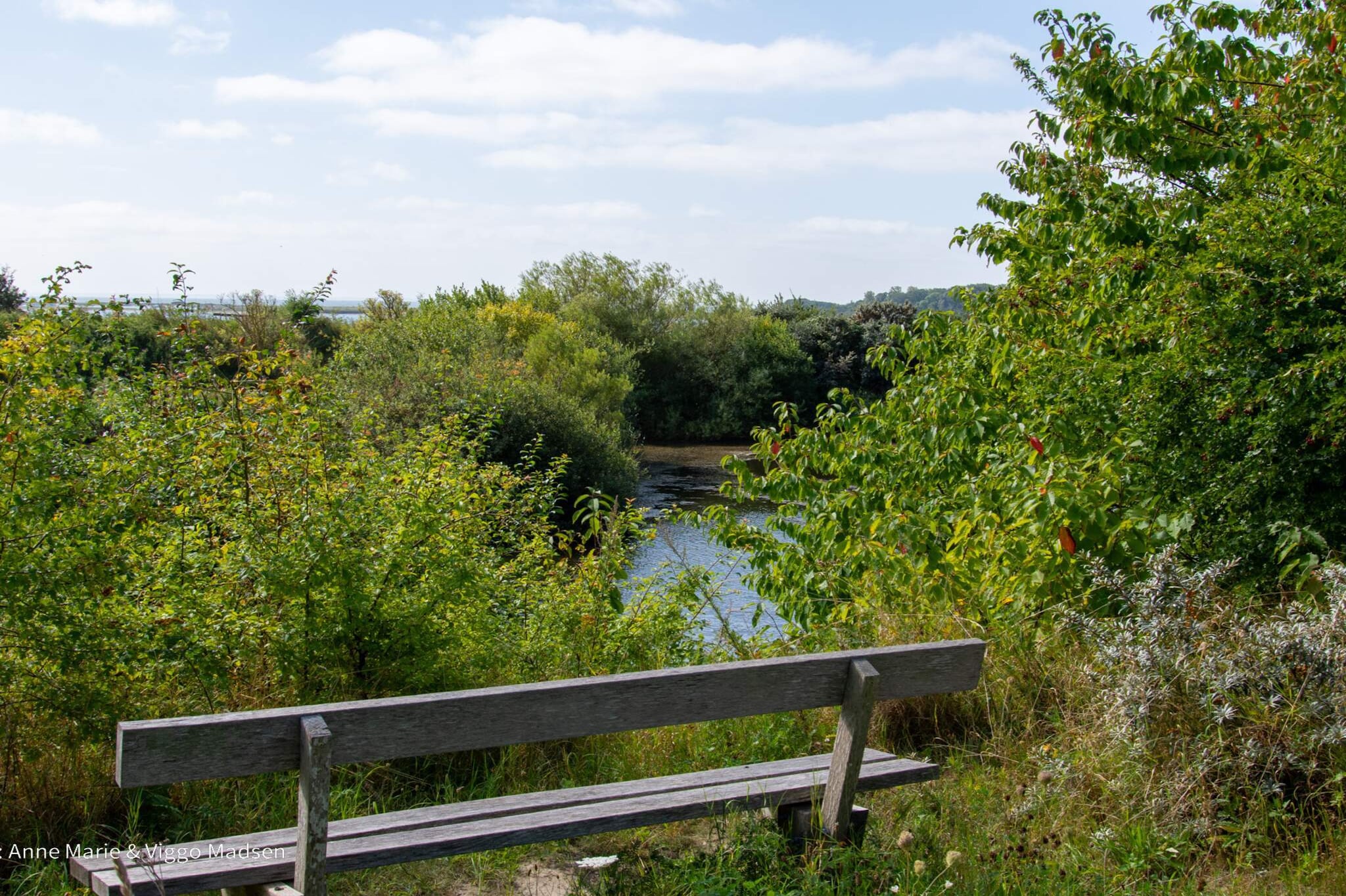 Internet Access DSL, Kitchen(stove(induction), cooker(2 ring stoves), coffee machine, oven, microwave, dishwasher, fridge-freezer), Living/bed room(TV(german television channels, danish TV channels (DR1 and TV2), swedish TV channels)), bedroom(2x single bed), bedroom(double bed), bedroom(double bed), bathroom(washbasin, shower, toilet), bath tub(outside, heated, 6 persons), heating(electric), air to air heatpump