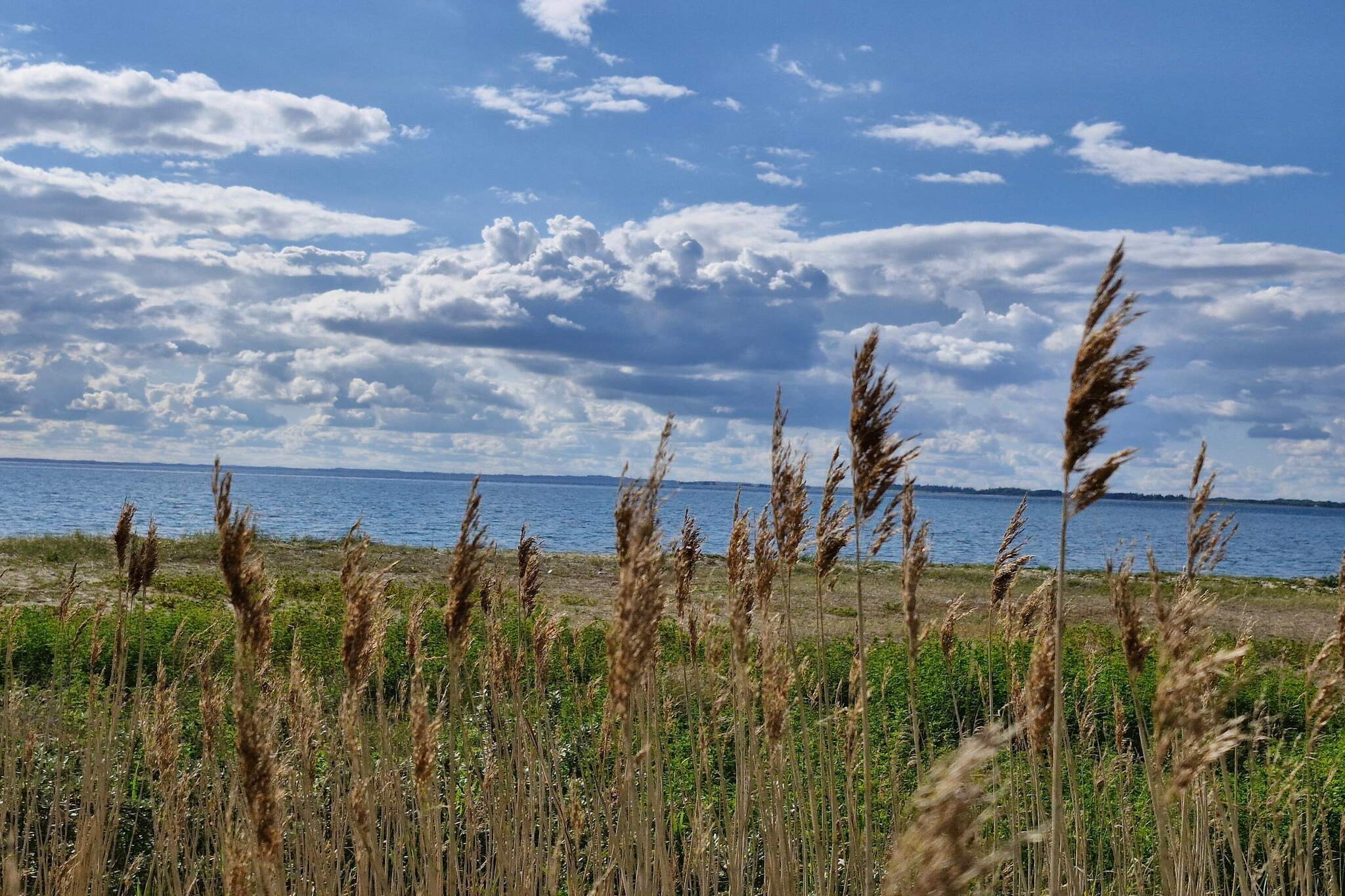 4 star holiday home in Assens