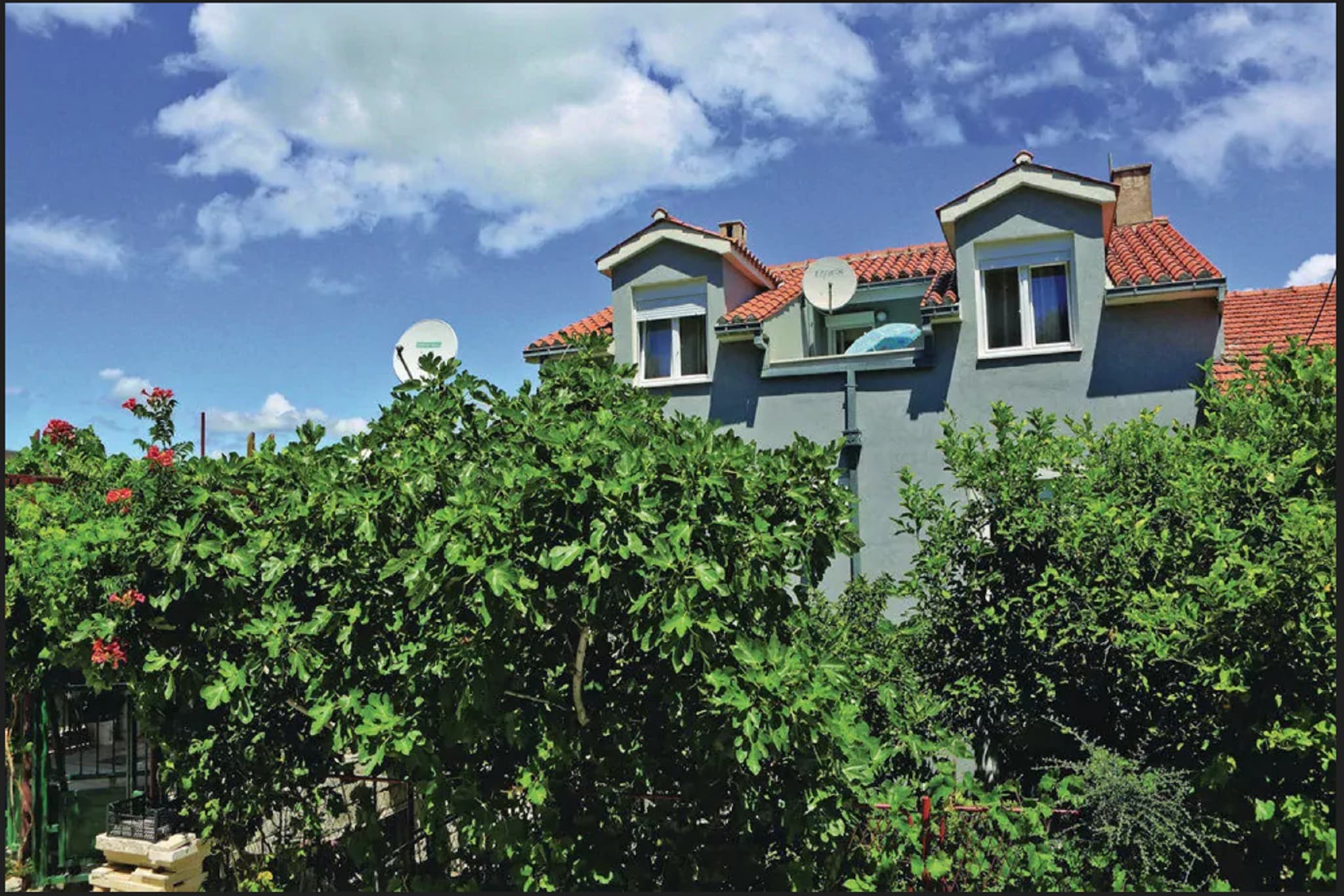 Apartments Halilović - Studio Apartment-View