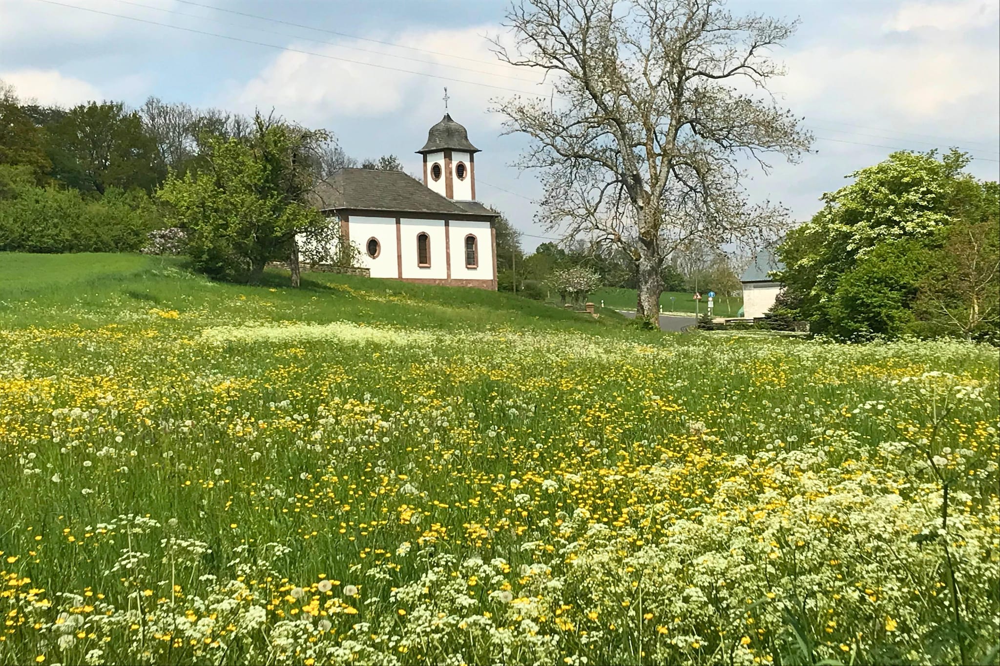 Am Schäferhof-Jardin d'été