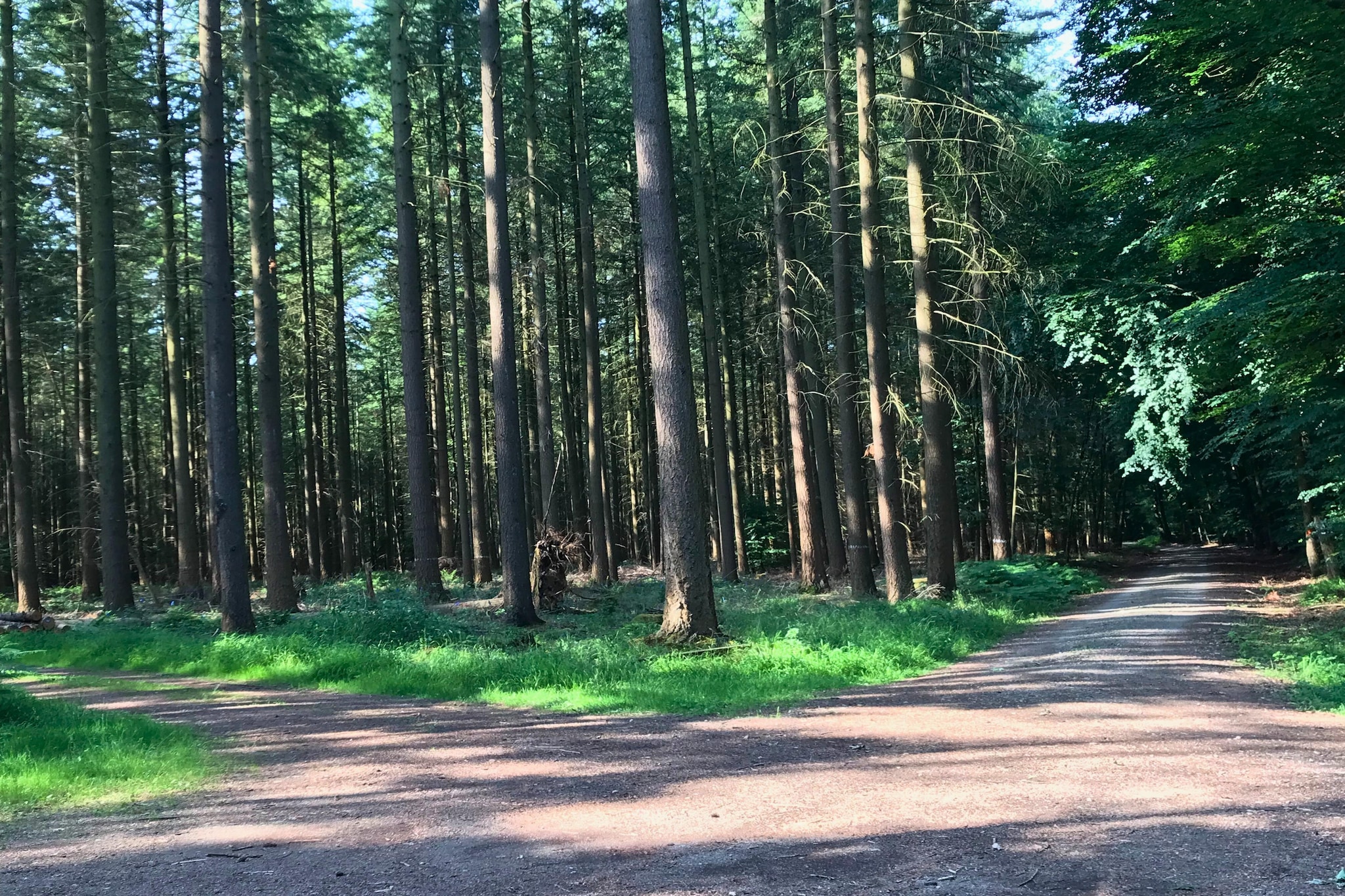 Am Schäferhof-Zones d'été à 5 km