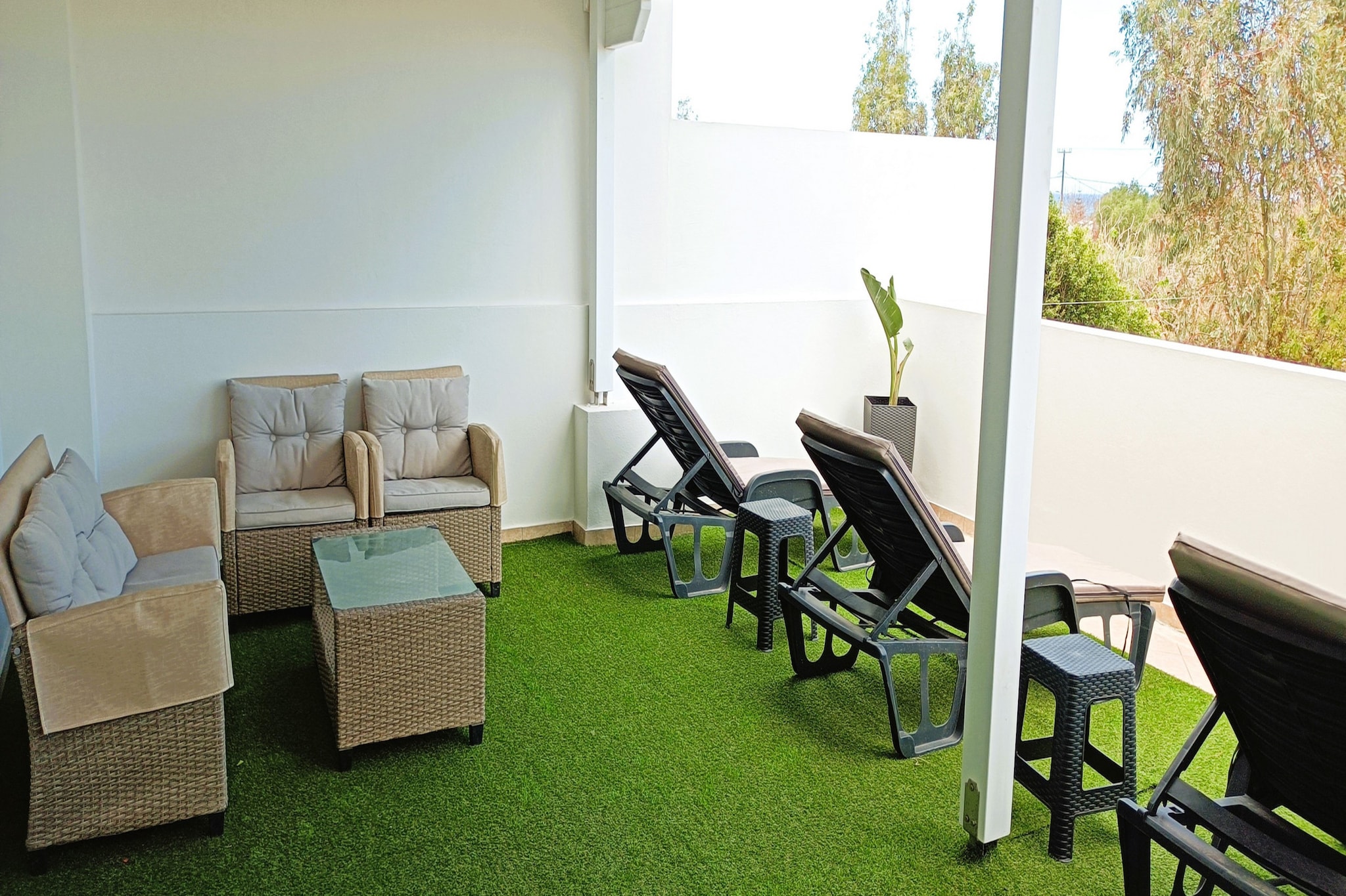 Aloe-Balcon-terrasse