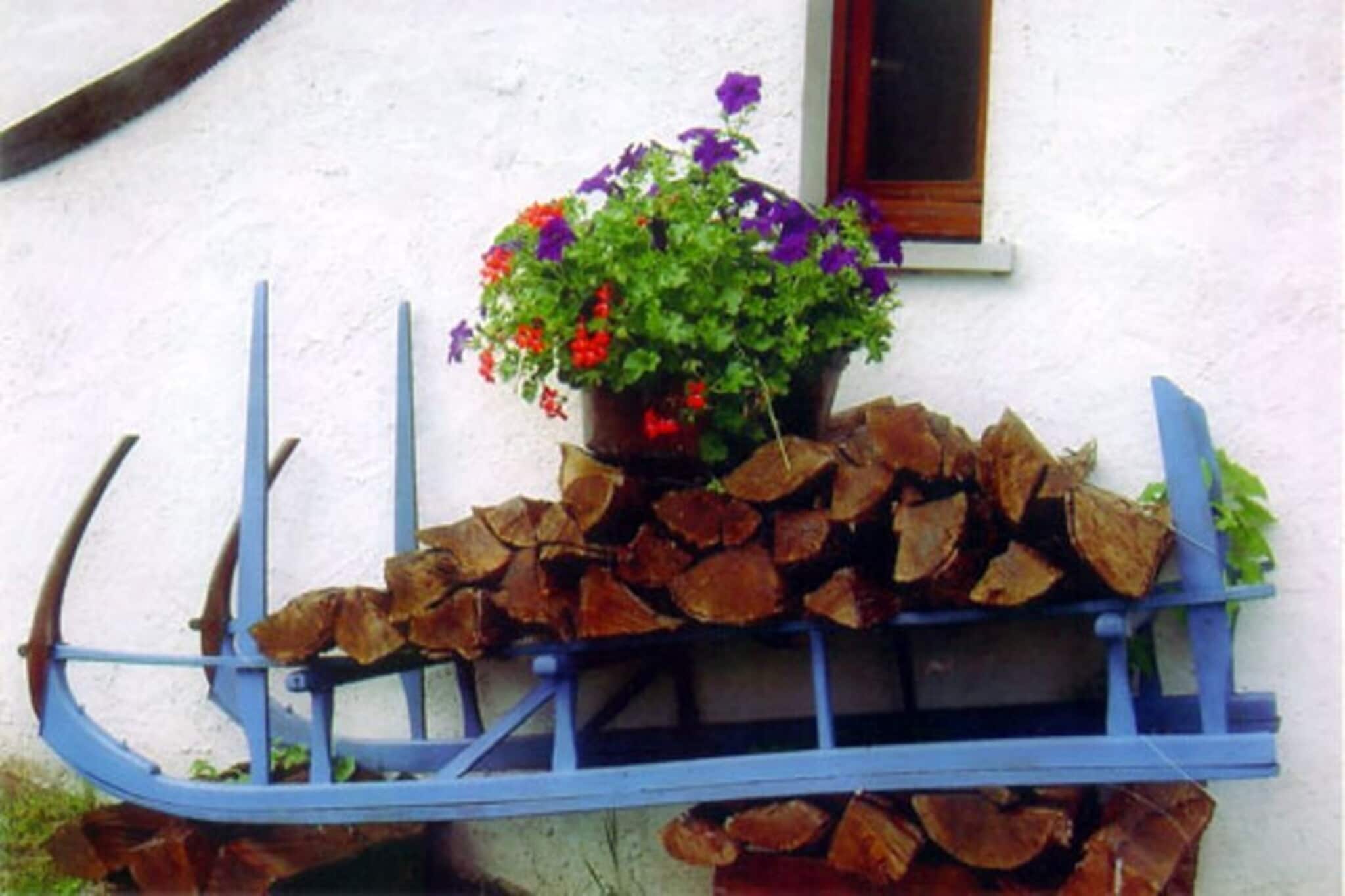 Les Chalets des Ayes 11-Sfeer