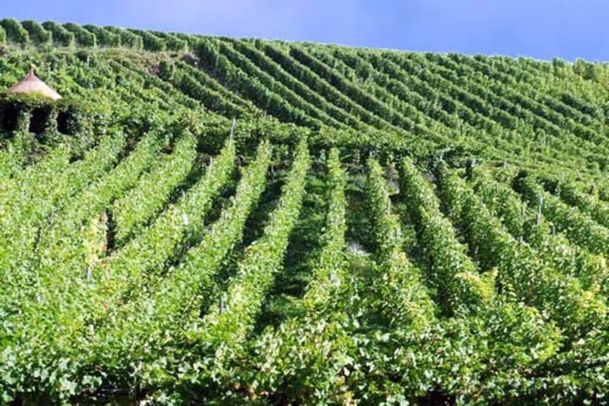 Les Chalets des Ayes 11-Gebieden zomer 1km